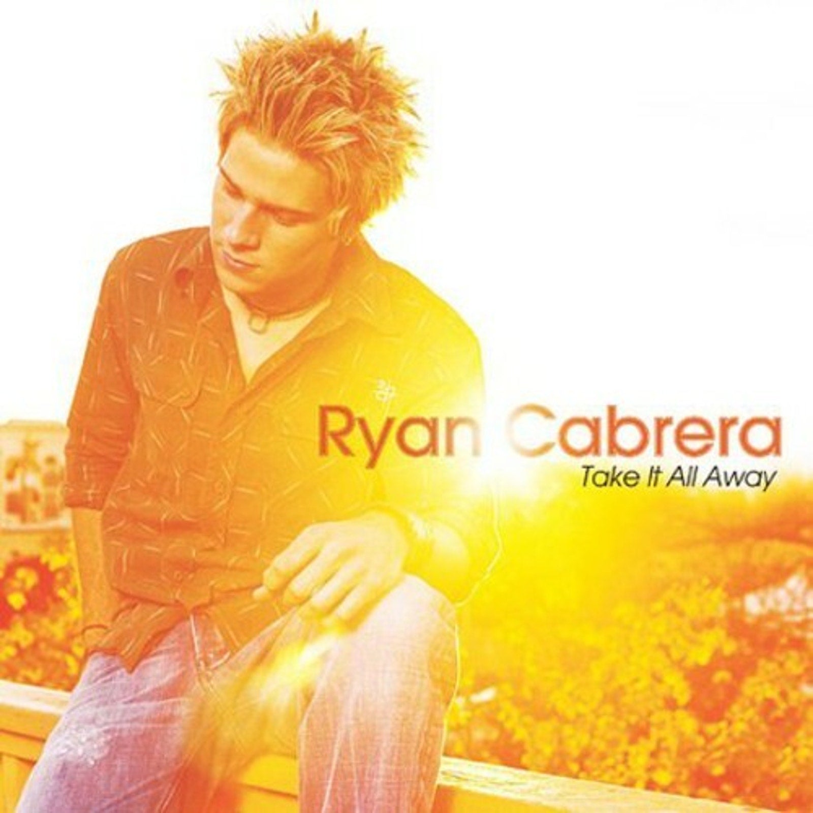 Take It All Away by Ryan Cabrera (CD, 2004)