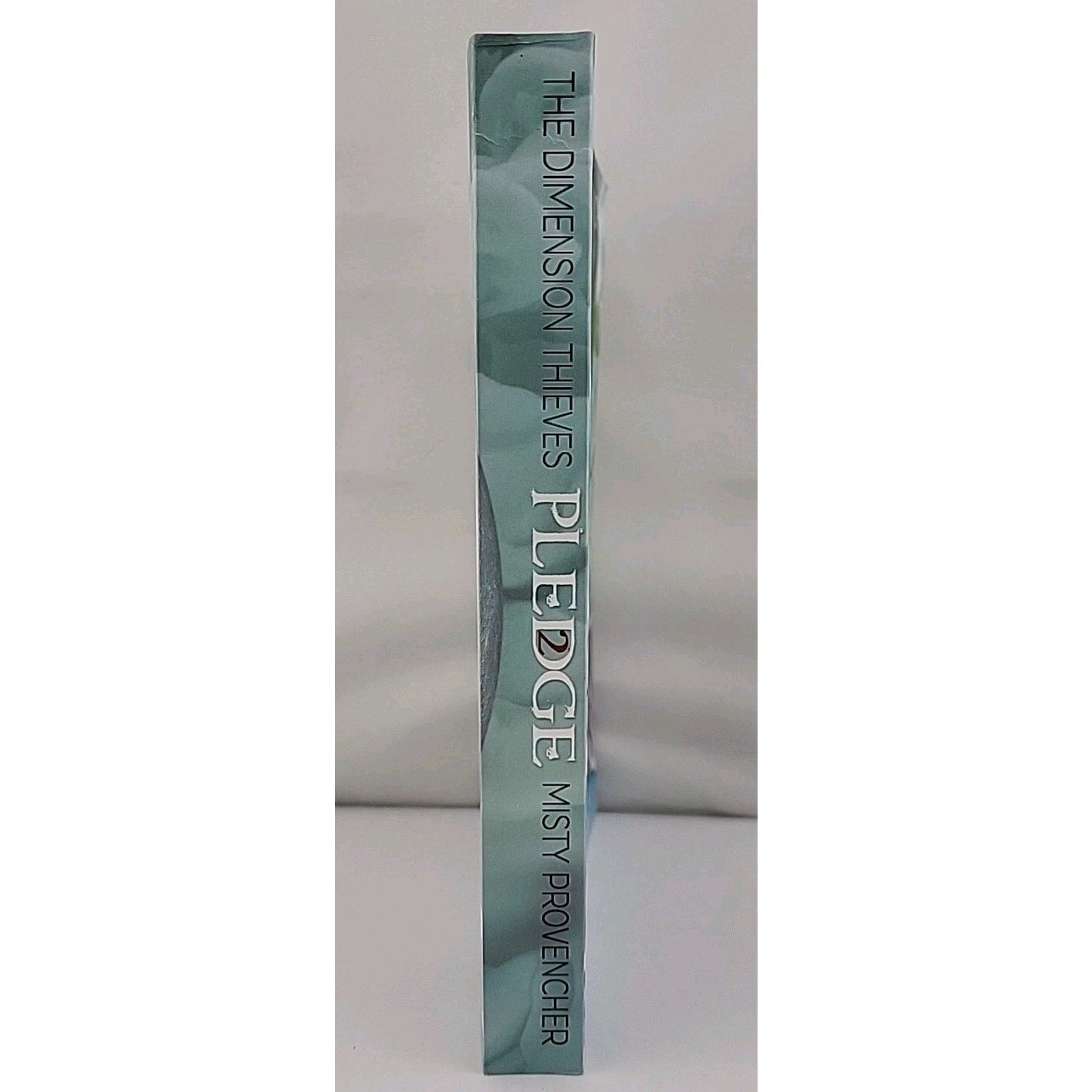 The Dimension Thieves: Book Two - Pledge By Misty Provencher