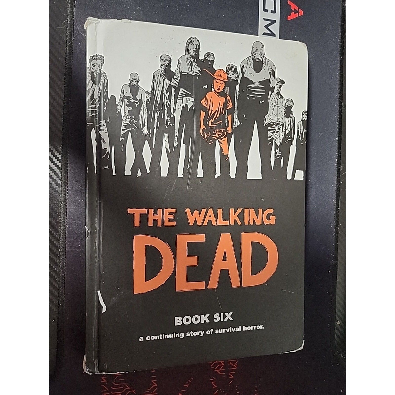 The Walking Dead #6 (Image Comics Malibu Comics 2012)