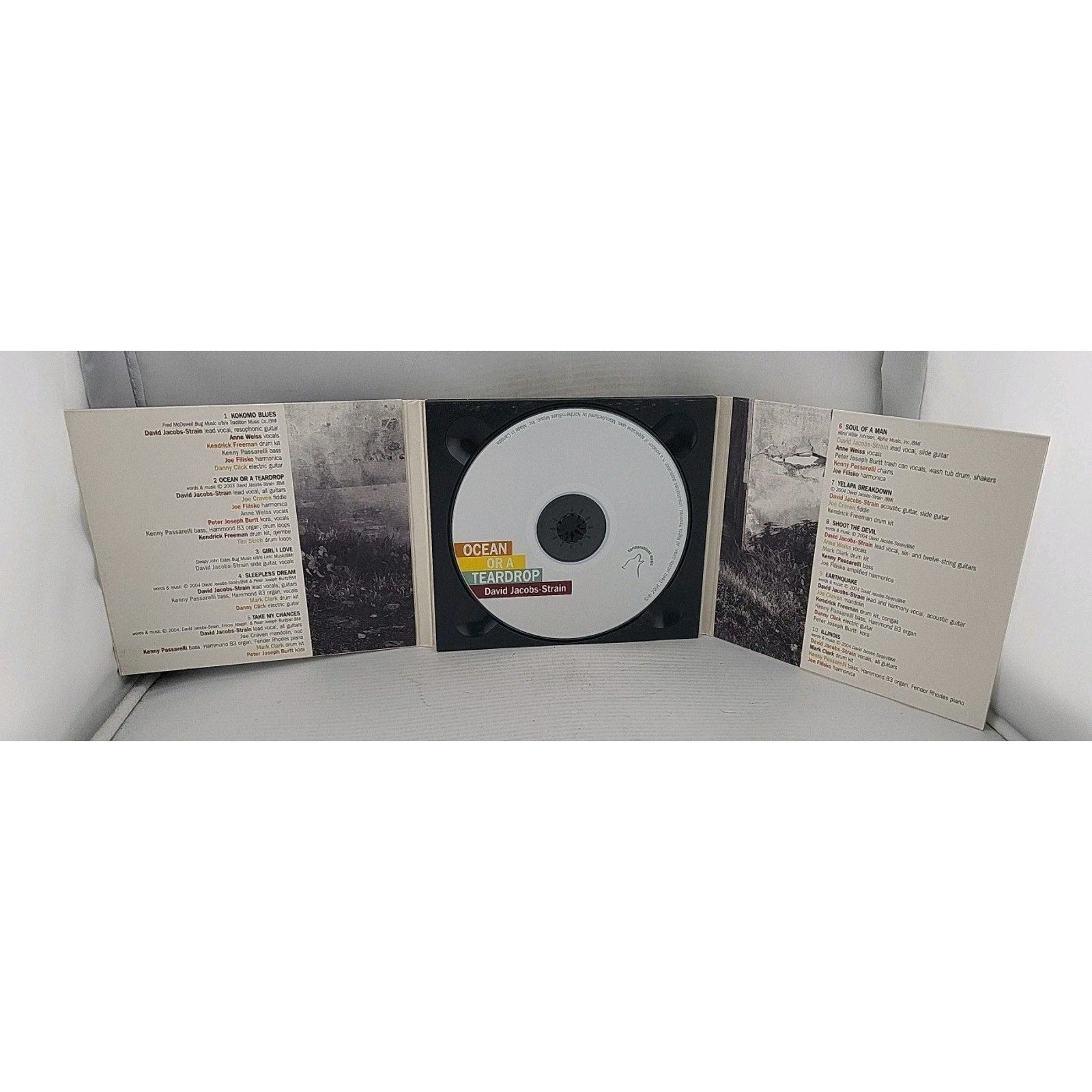 Ocean or a Teardrop by David Jacobs-Strain (CD, 2004)