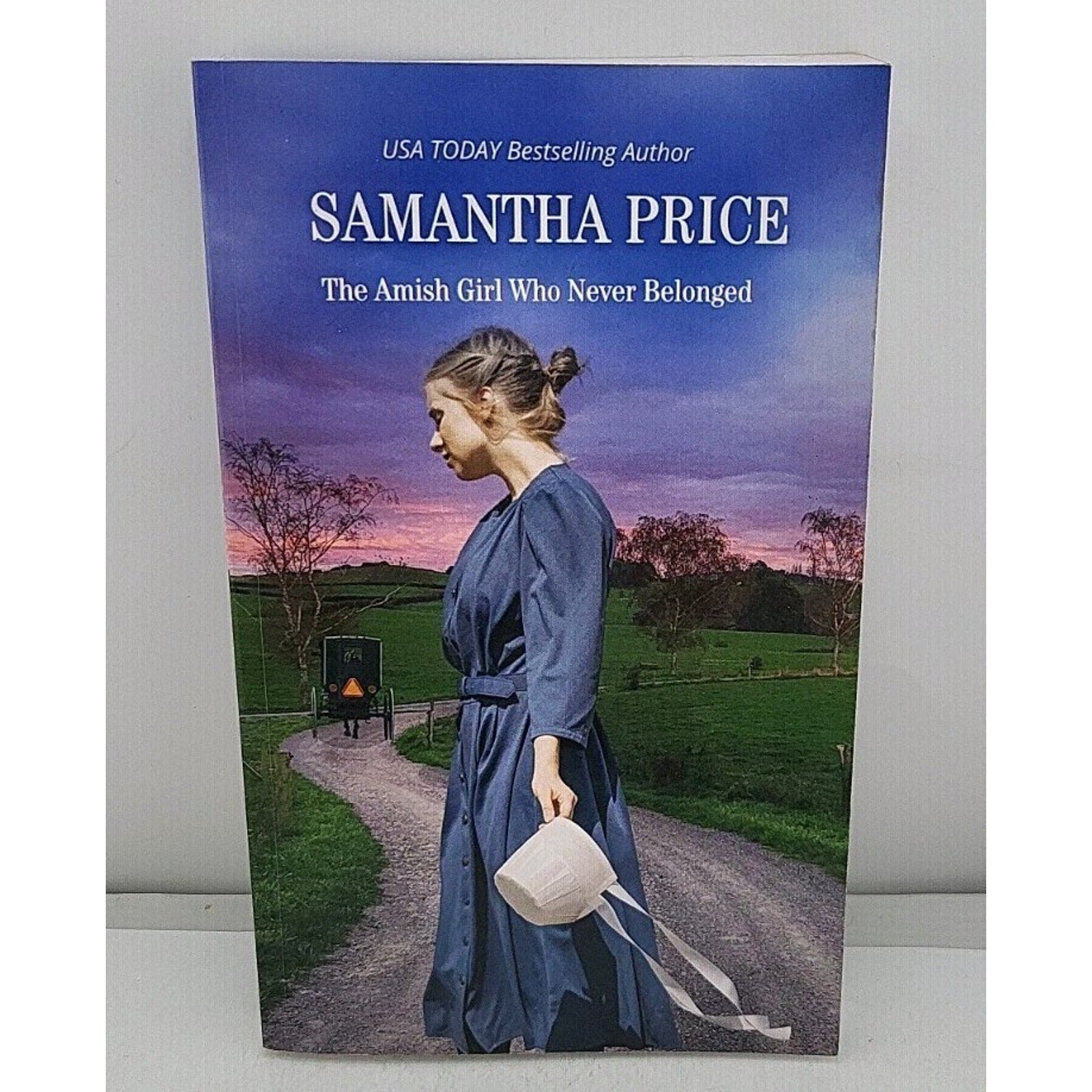 Amish Girl Who Never Belonged : Amish Romance by Samantha Price (2017, Trade...