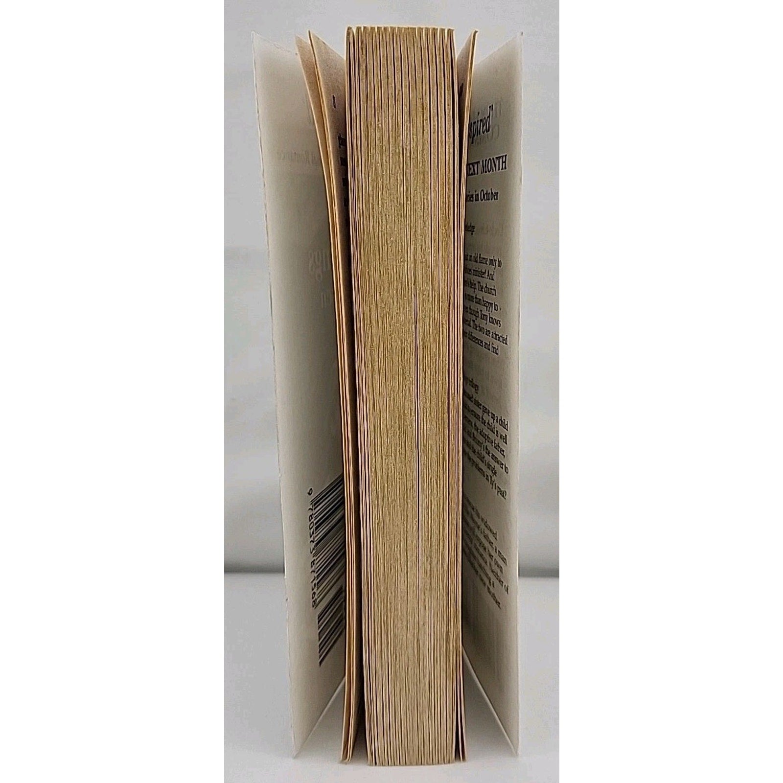Twin Blessings by Carolyne Aarsen (2001, Mass Market)