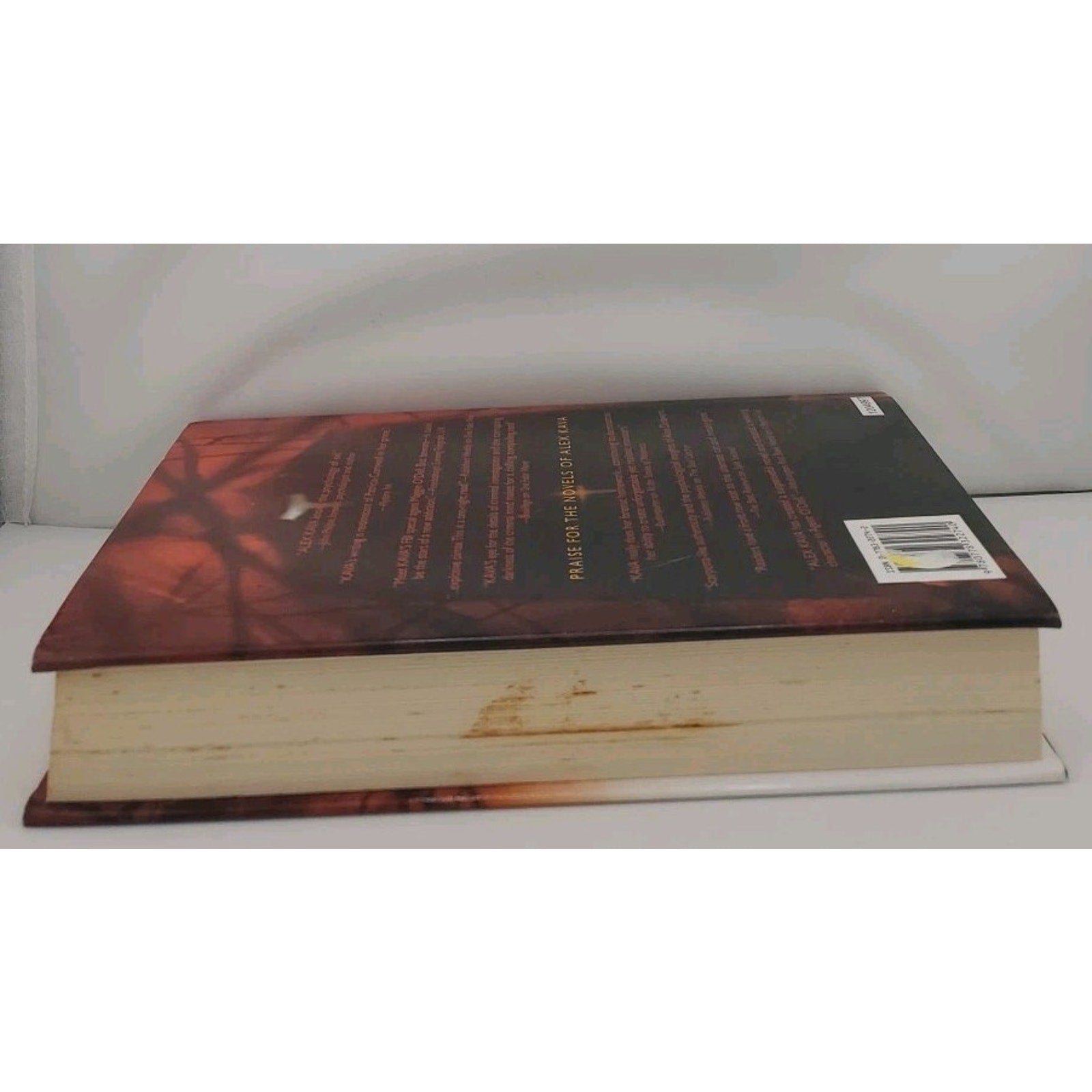 Necessary Evil by Alex Kava (2006, Hardcover)
