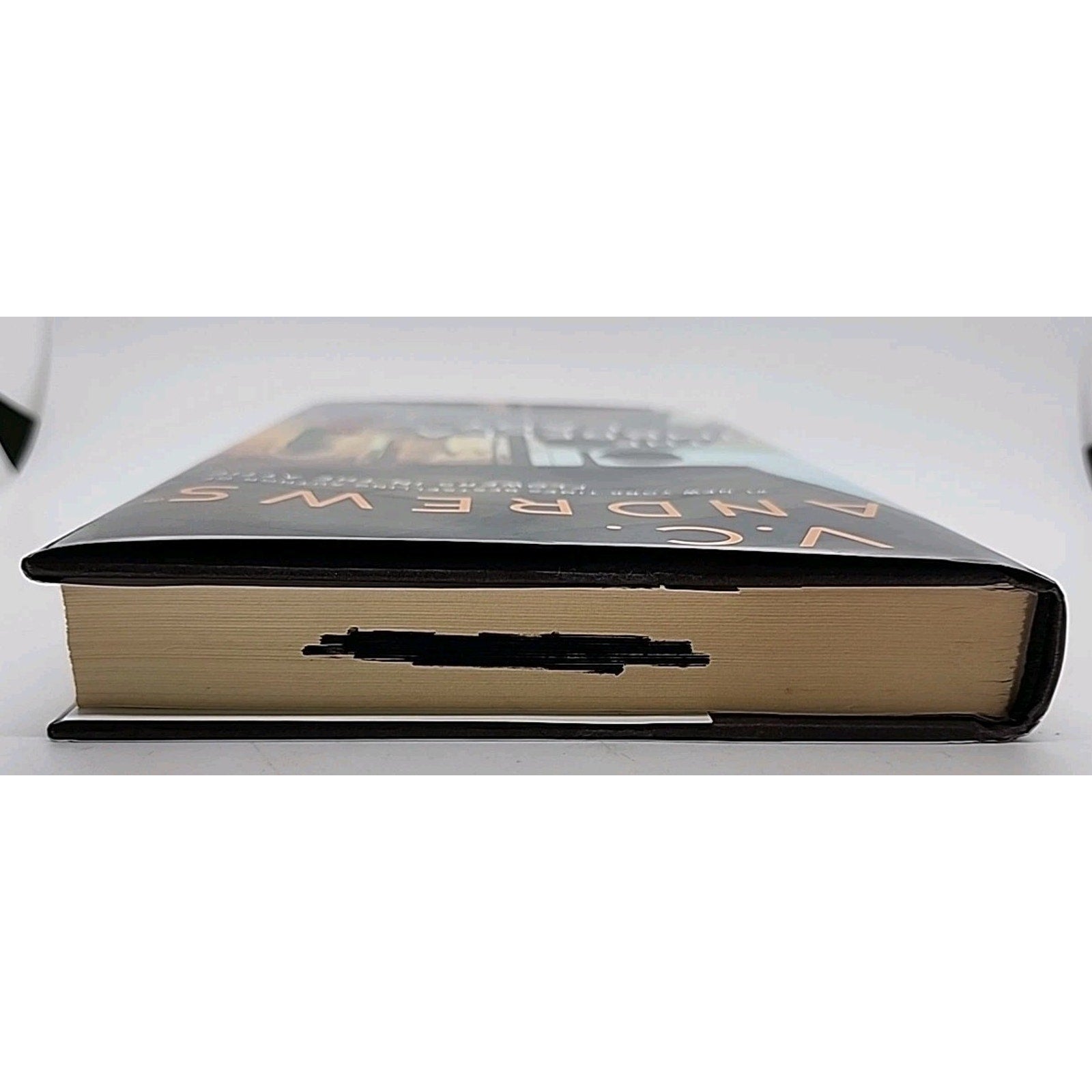 Umbrella Lady by V.c. Andrews (2021, Hardcover)