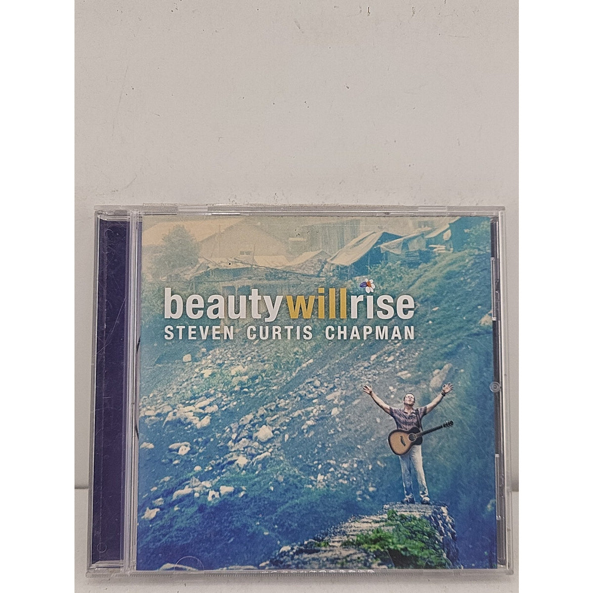 Beauty Will Rise by Steven Curtis Chapman (CD, 2009)