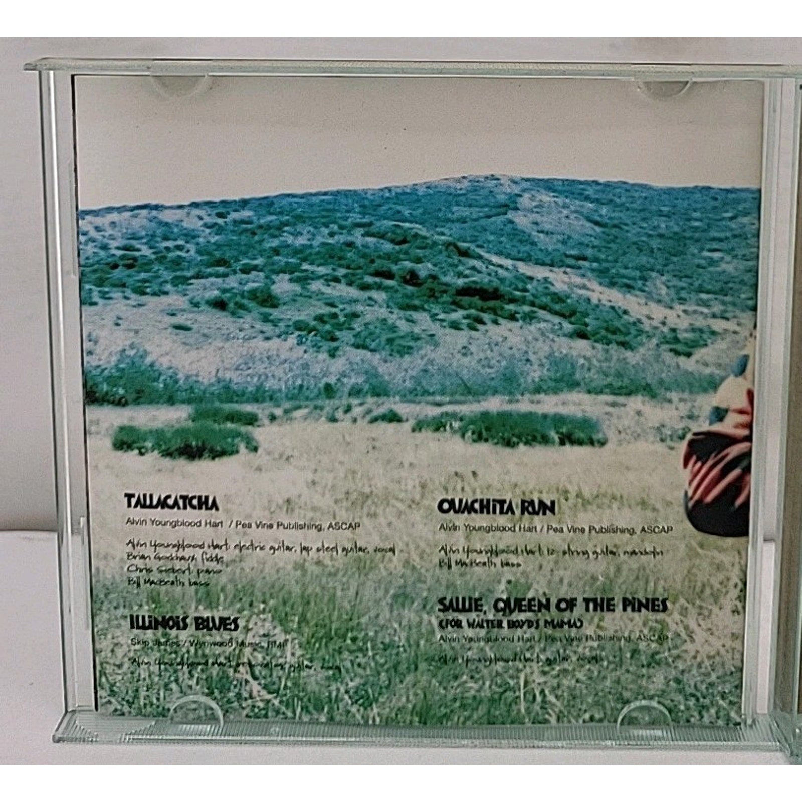Territory by Alvin Youngblood Hart (CD, 1998)