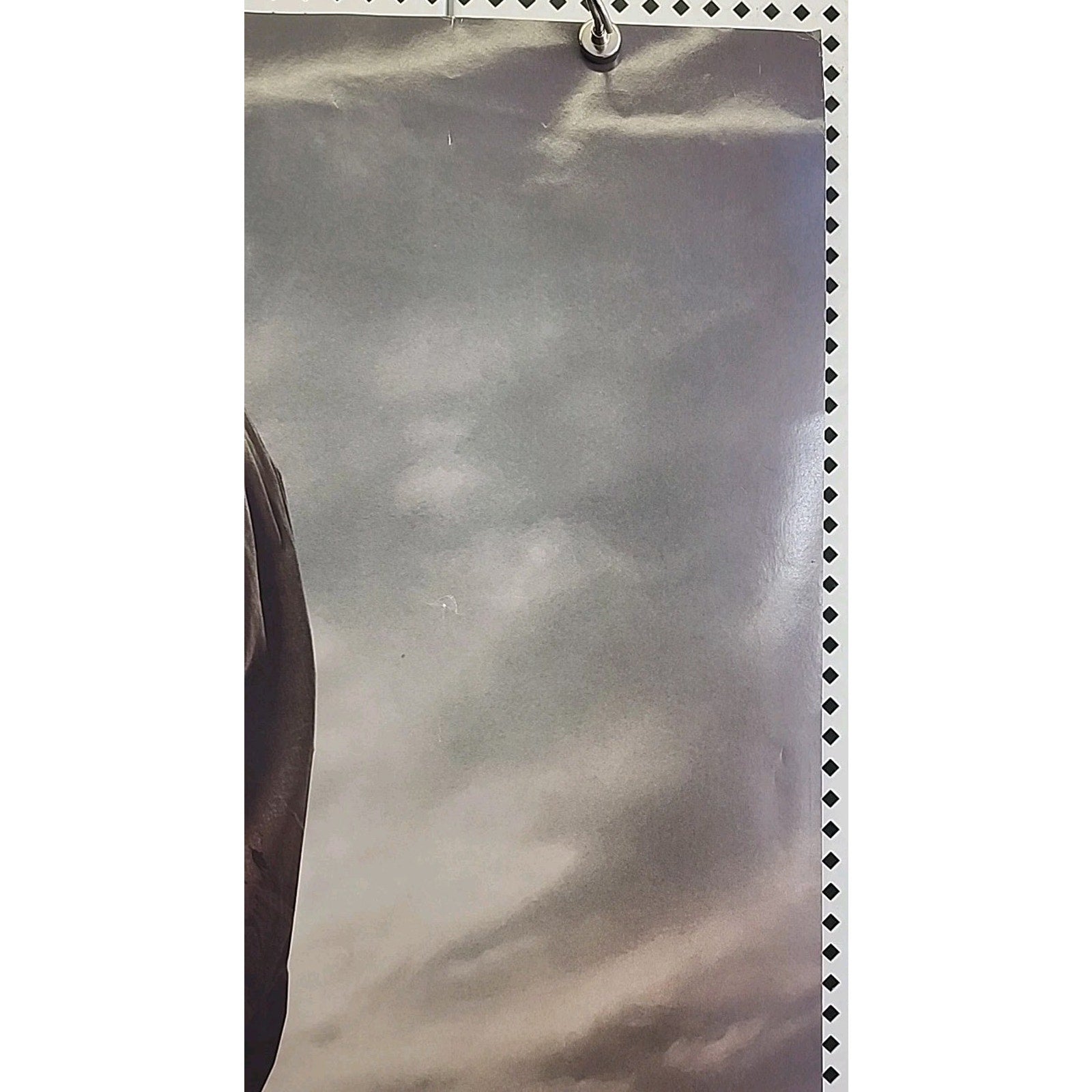 Beast Official Original Movie Poster 27X40 Double Sided Idris Elba 2022