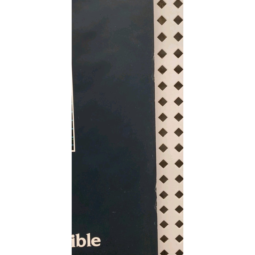 The Infinite Voyage Video Dealer Poster 17x29