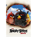 The Angry Birds Movie (DVD, 2016)
