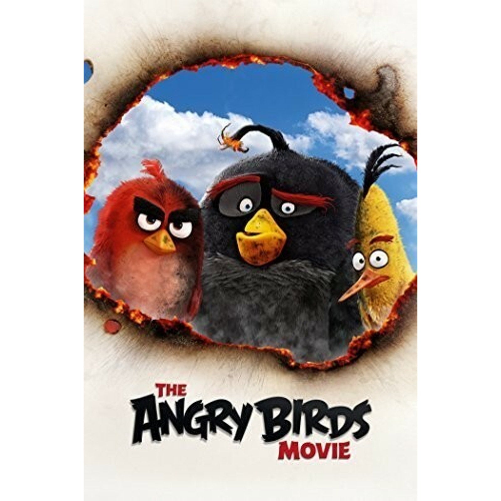 The Angry Birds Movie (DVD, 2016)
