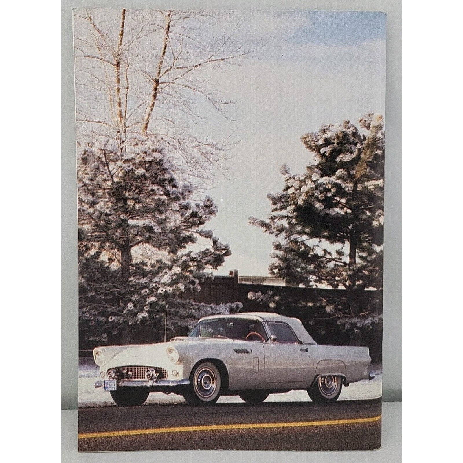 Early Bird Magazine January-February 1995