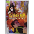 Everafter: From the Pages of Fables #11 2017 DC Comics Comic Book