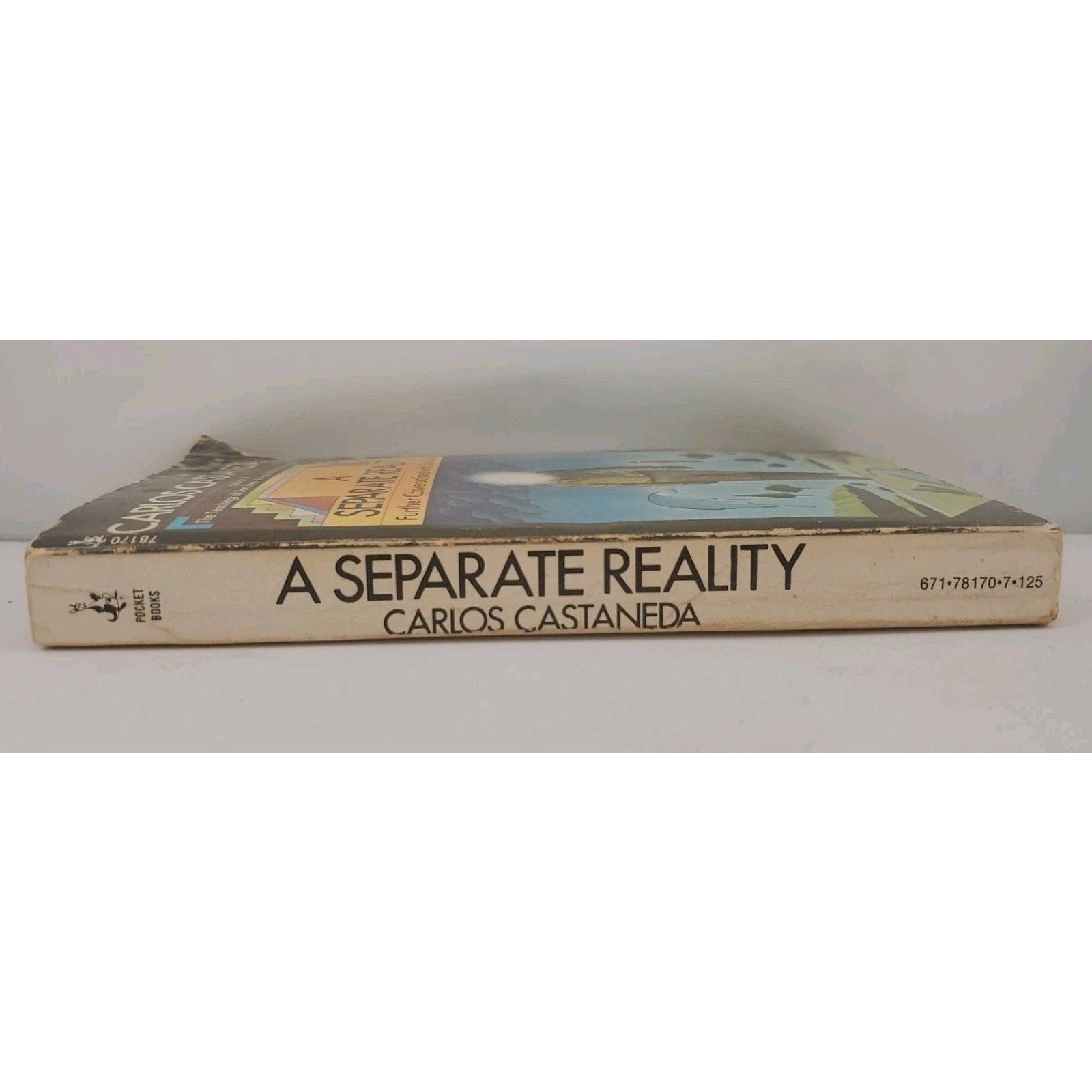 Separate Reality by Carlos Castañeda (1983, Trade Paperback)