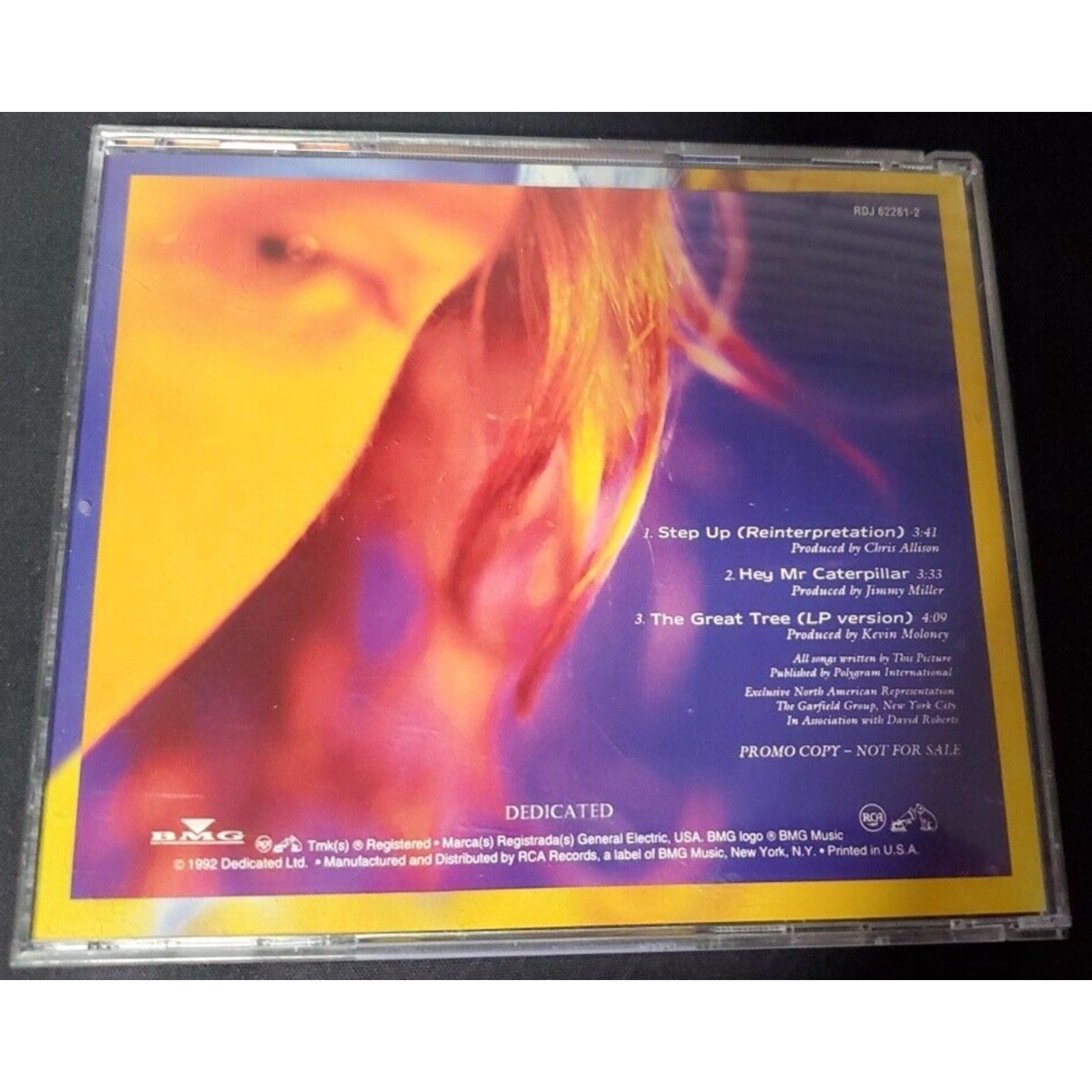 This Picture Step Up (CD)