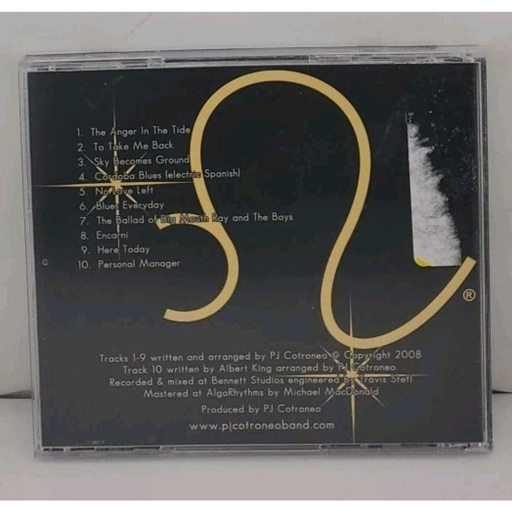 Here Today CDr - PJ Cotroneo Band