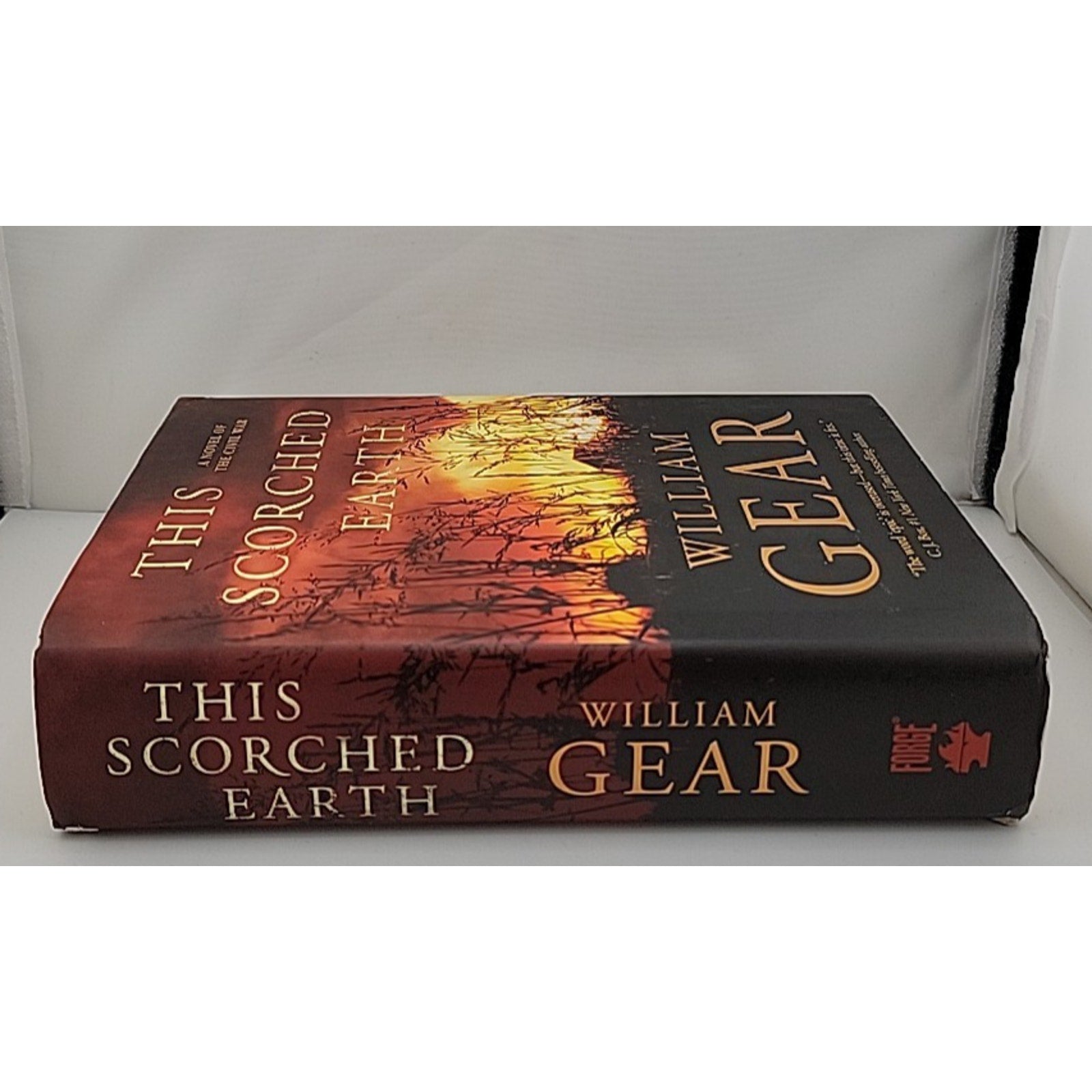 This Scorched Earth : A Novel of the Civil War and the American West by William
