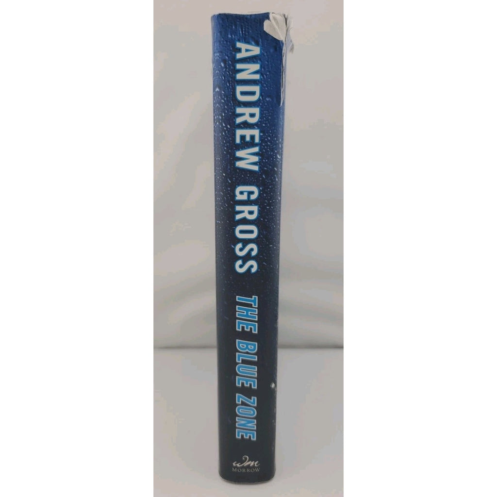 Blue Zone by Andrew Gross (2007, Hardcover)