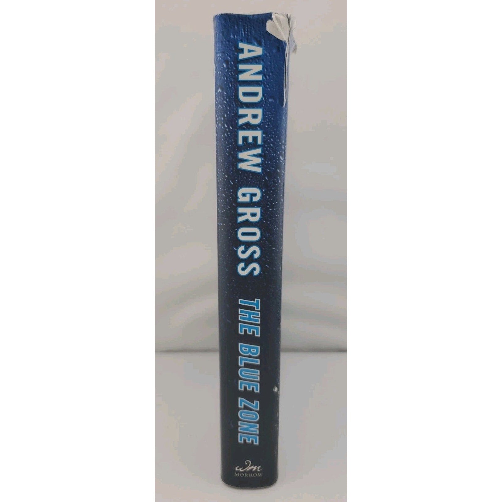 Blue Zone by Andrew Gross (2007, Hardcover)