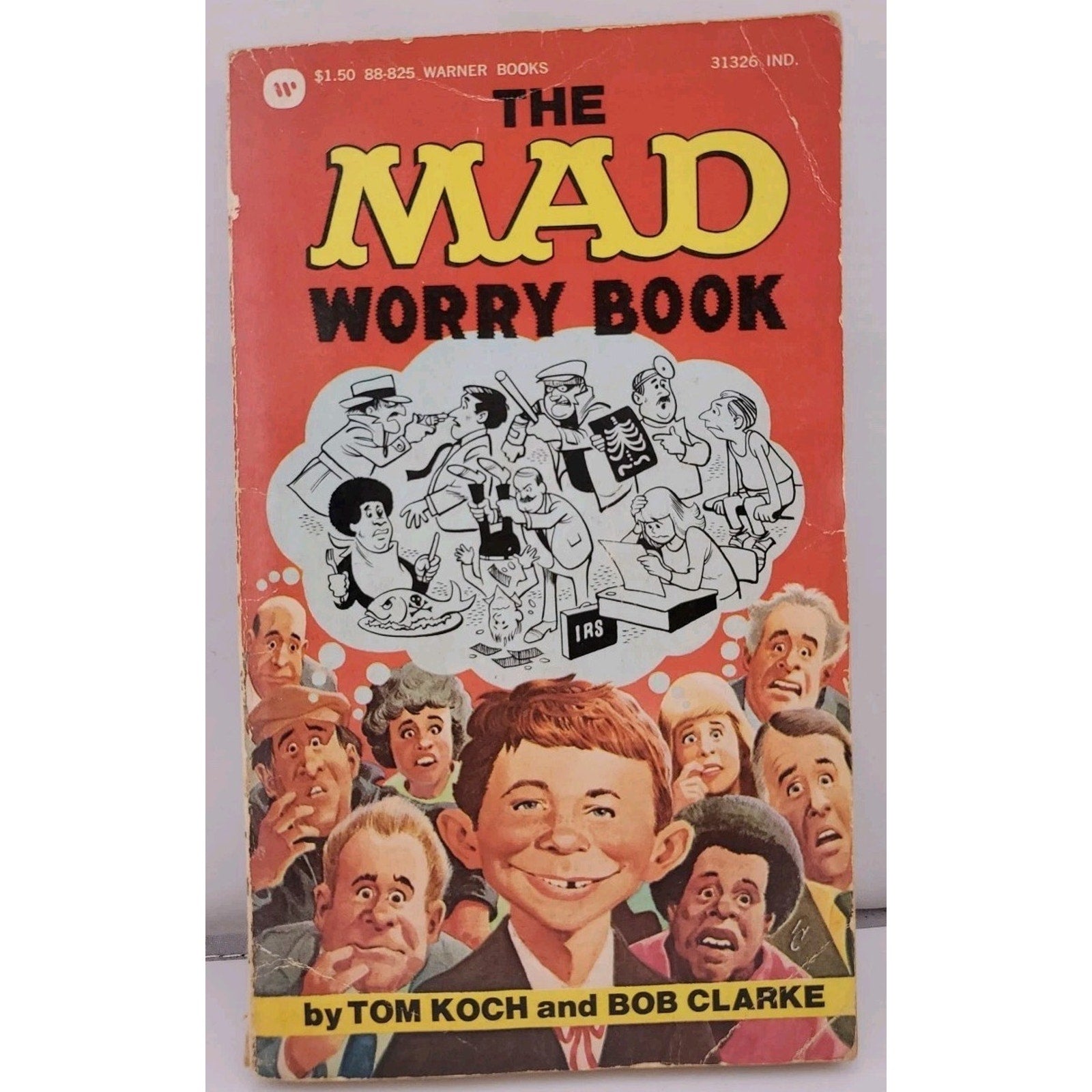 The Mad Worry Book