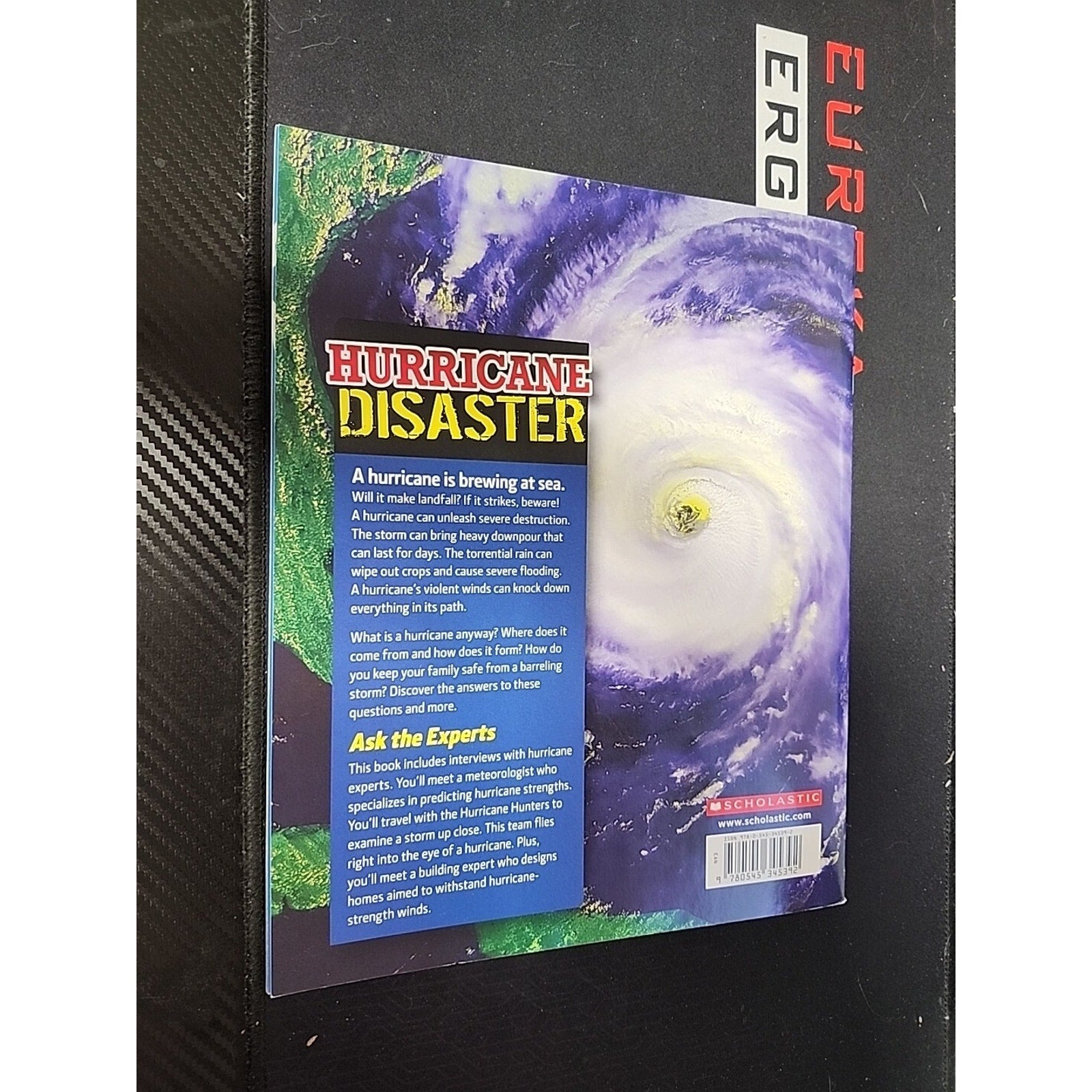 Hurricane Disaster by Lynda Jones