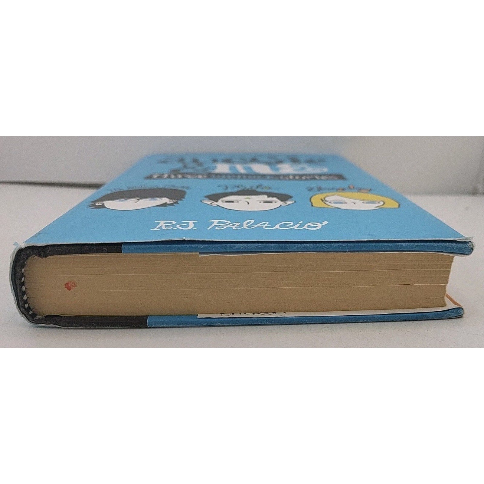 Auggie and Me: Three Wonder Stories by R. J. Palacio (2015, Hardcover)