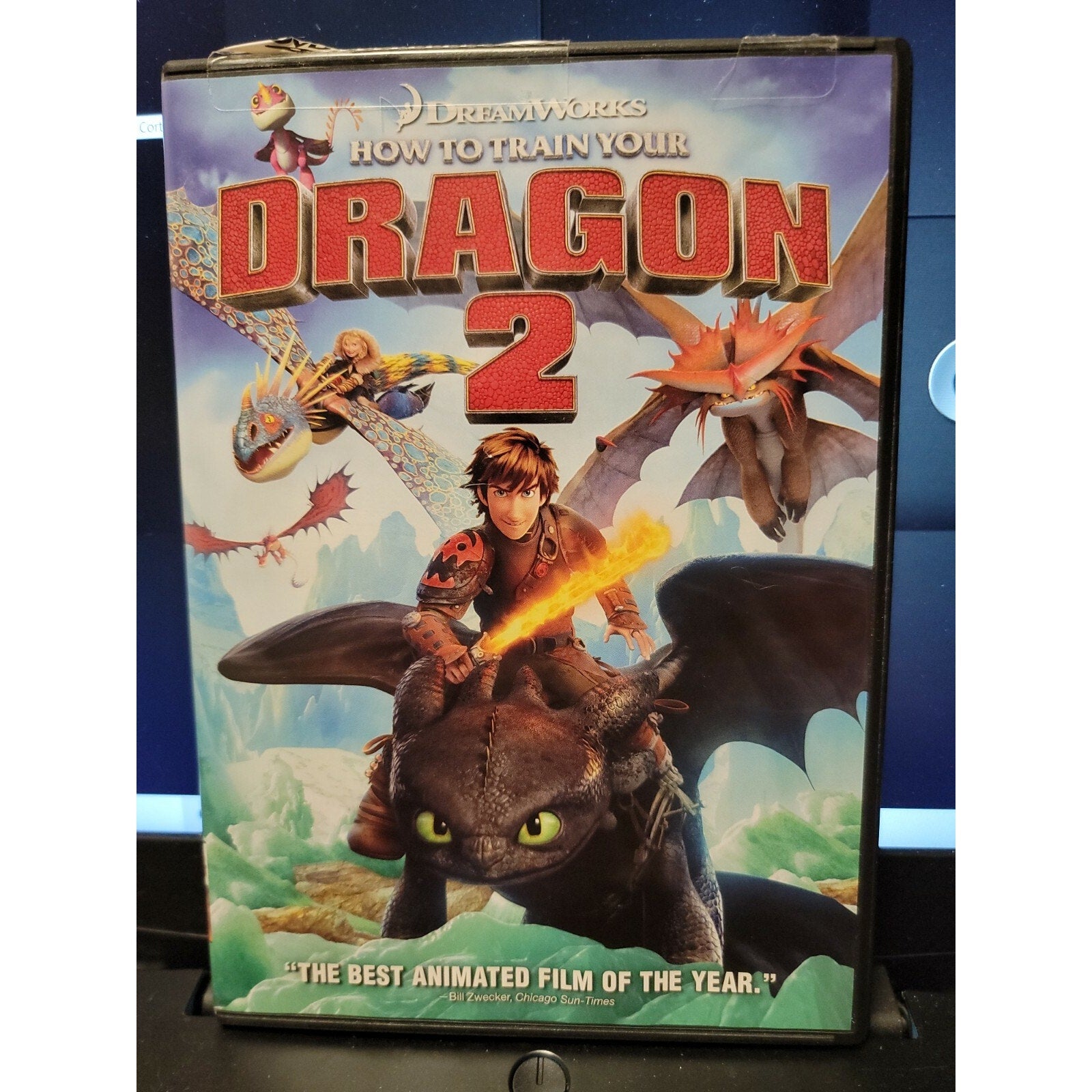 How to Train Your Dragon 2 (DVD)