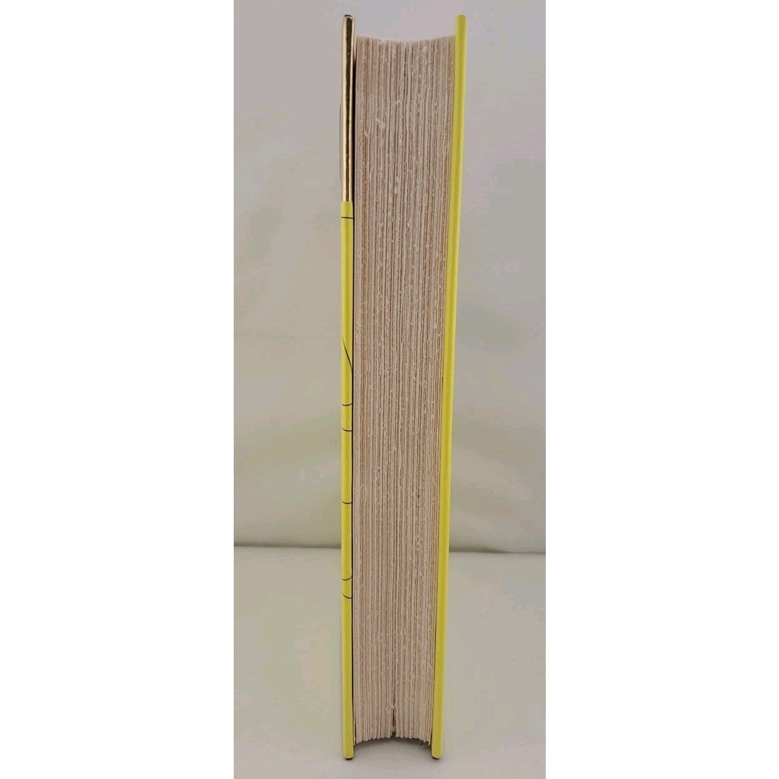 Malice by Danielle Steel (1996, Hardcover)