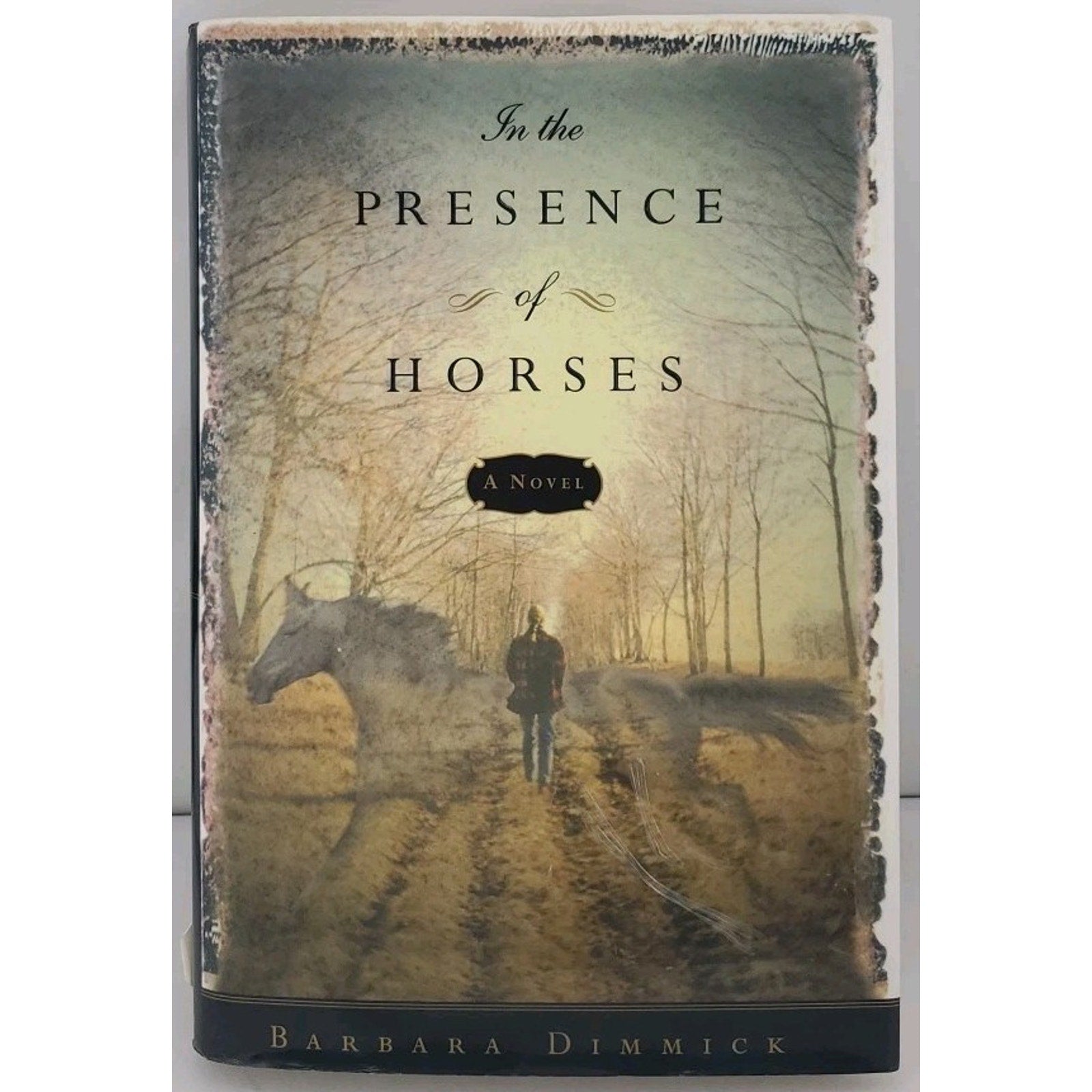 In the Presence of Horses by Barbara Dimmick (1998, Hardcover)