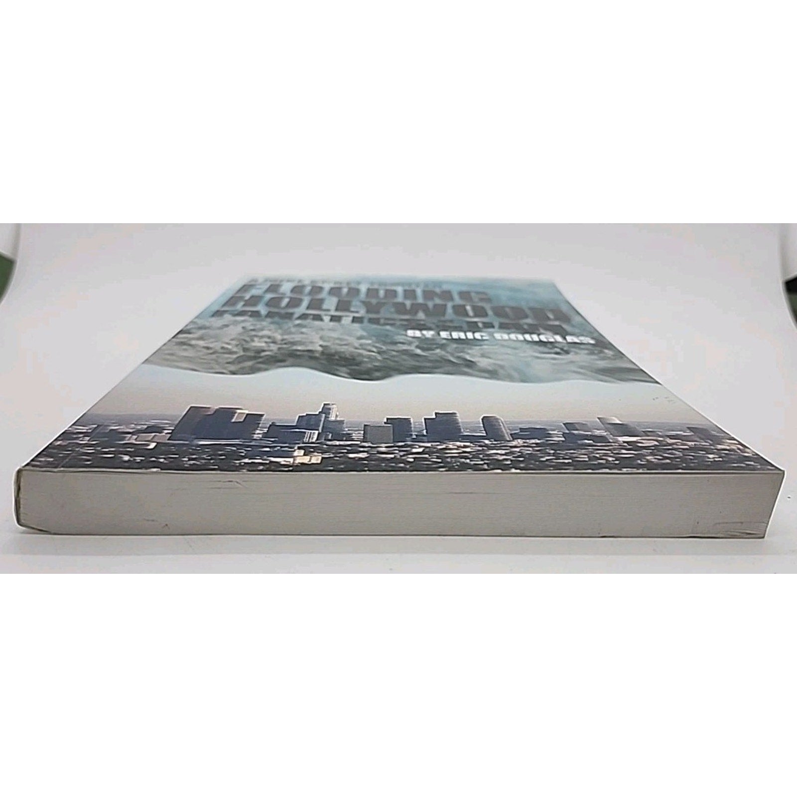 Flooding Hollywood : A Mike Scott Adventure by Eric Douglas (2013, Trade...