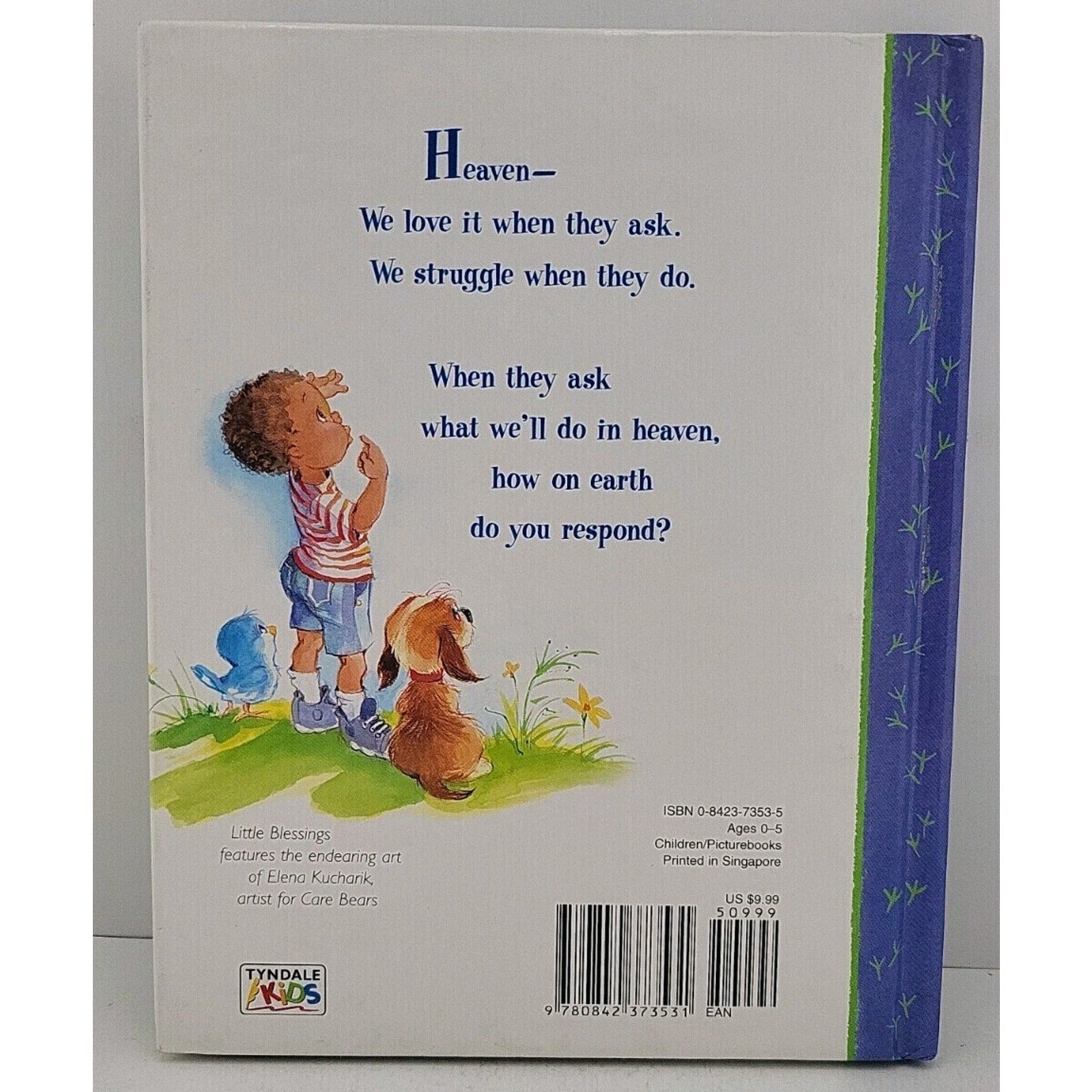What about Heaven? by Kathleen Long Bostrom (2000, Hardcover)