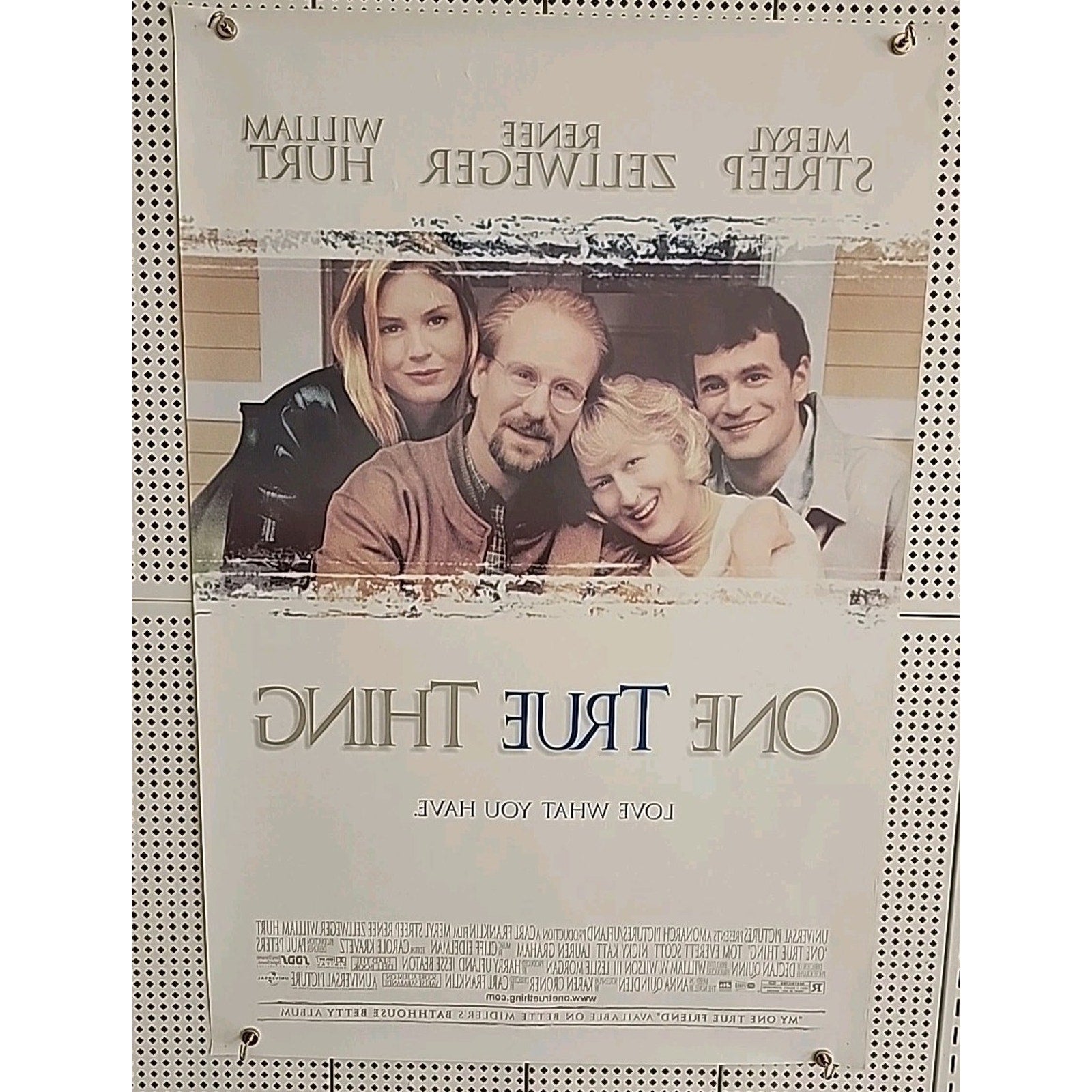One True Thing Movie Video Poster- Hurt/Streep/Zellweger - 27x40