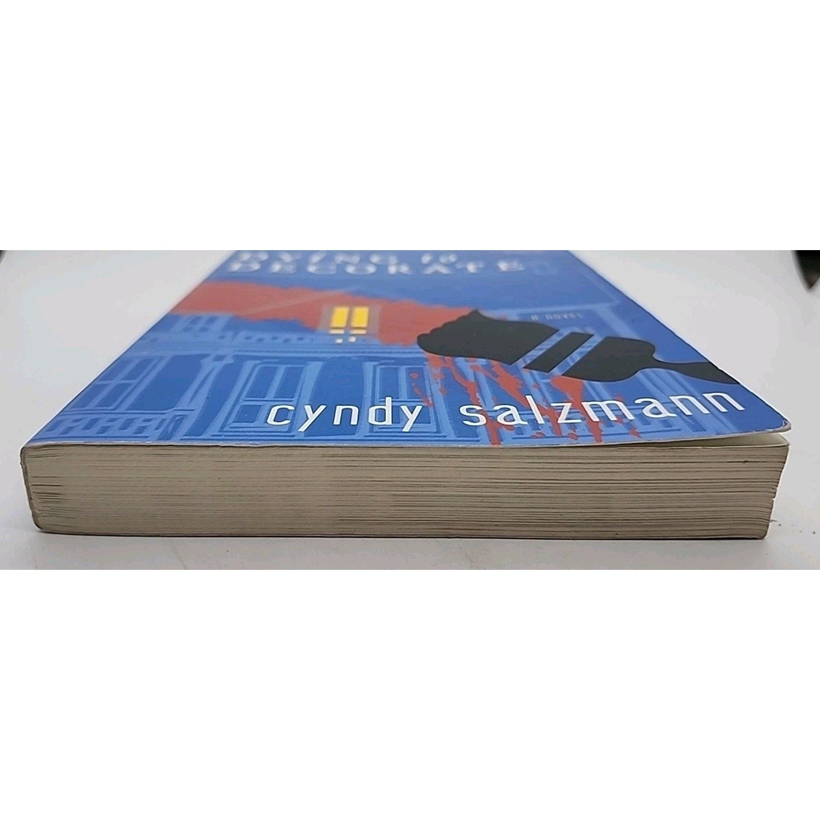 Dying to Decorate by Cyndy Salzmann (2005, Trade Paperback)