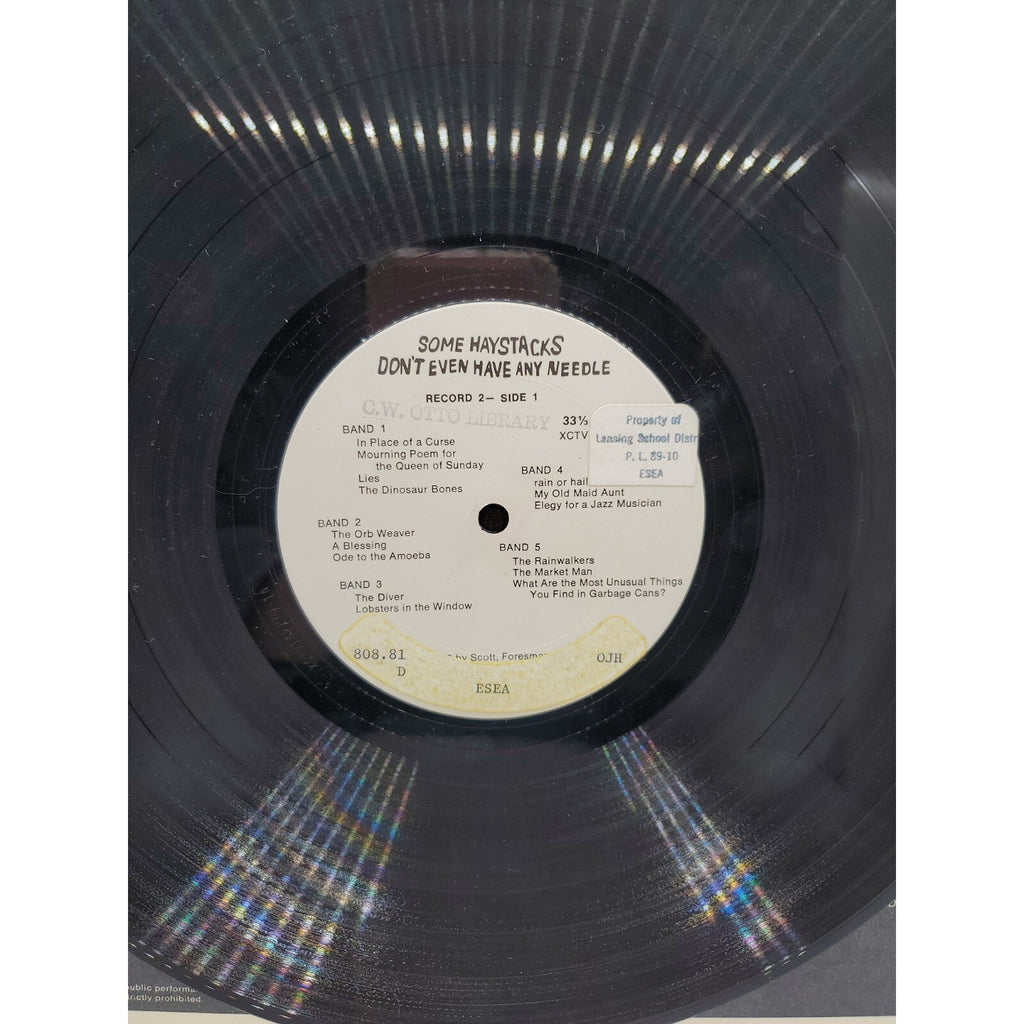 Some Haystacks Don't Even Have Any Needle (Record)