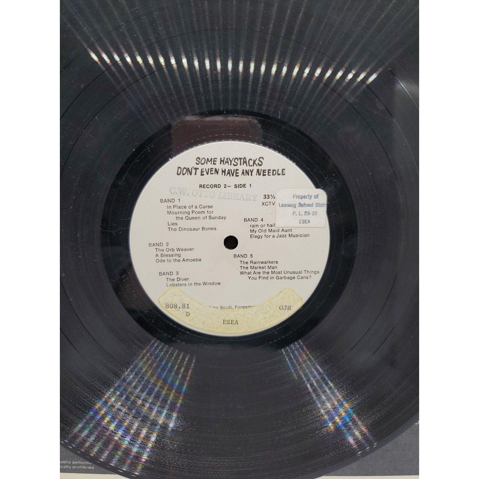 Some Haystacks Don't Even Have Any Needle (Record)