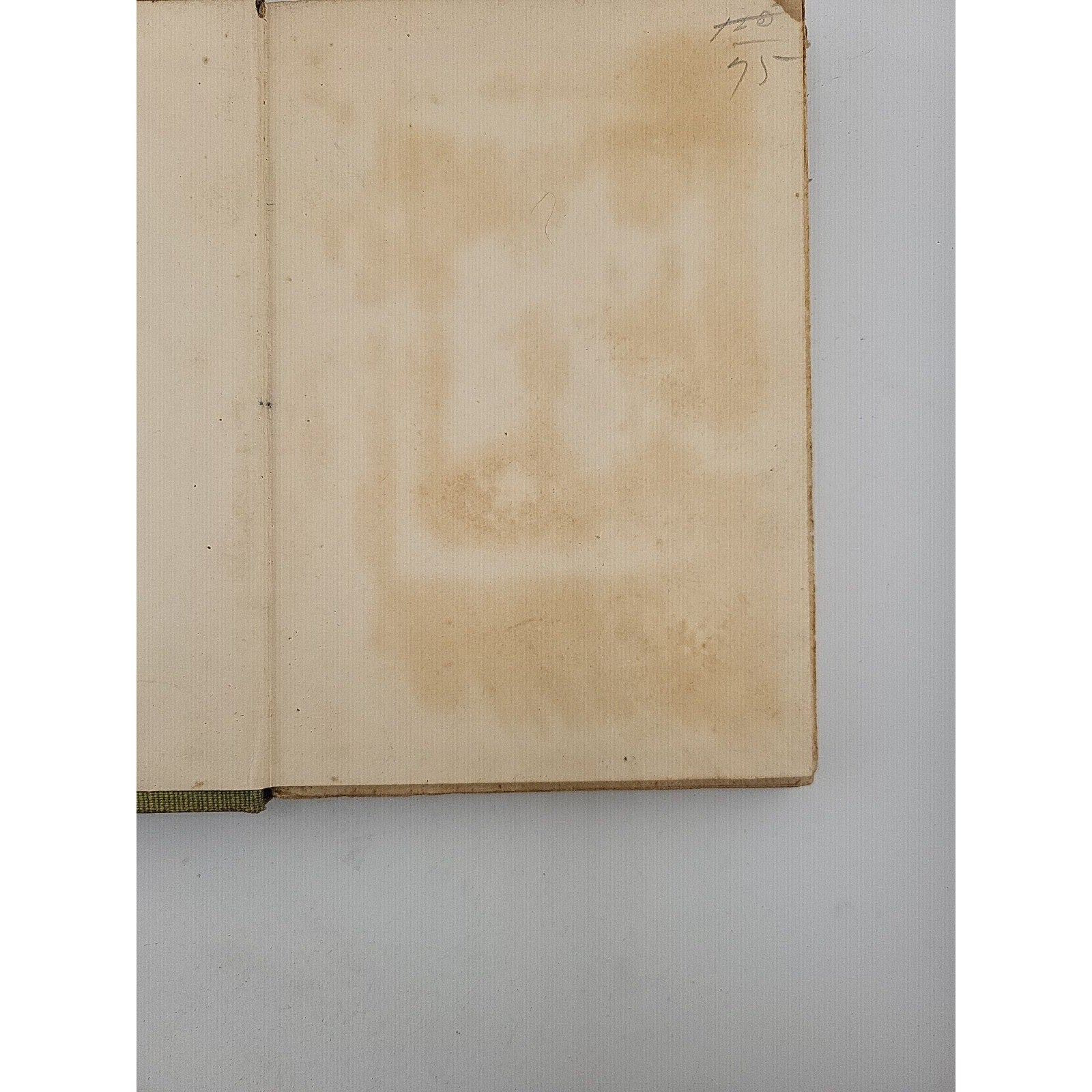 Through The Year With American Poets 1907