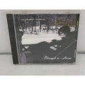 Through the Storm by Stephanie Winters (CD, 2004)