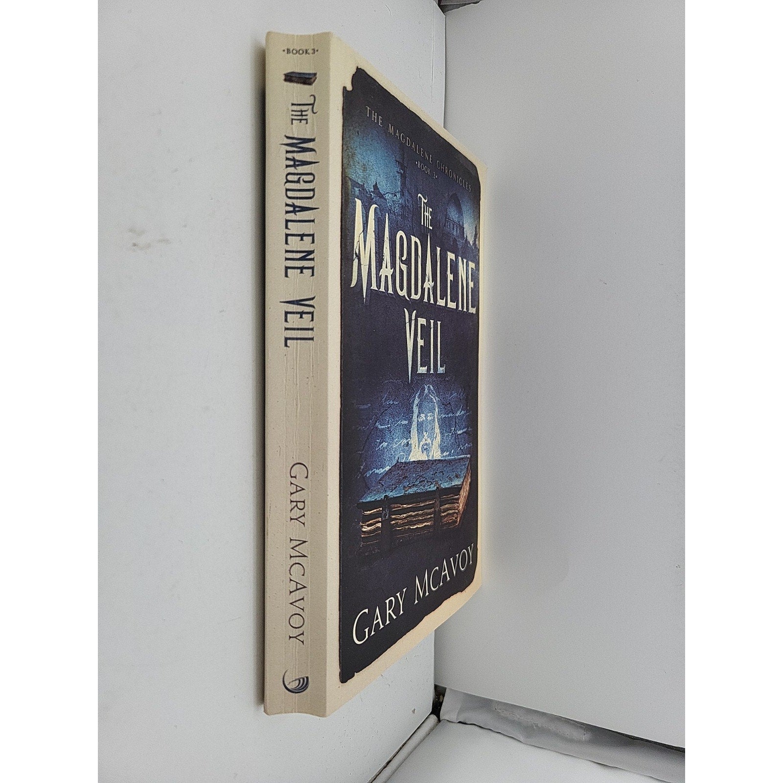 Magdalene Veil by Gary McAvoy (2021, Trade Paperback)