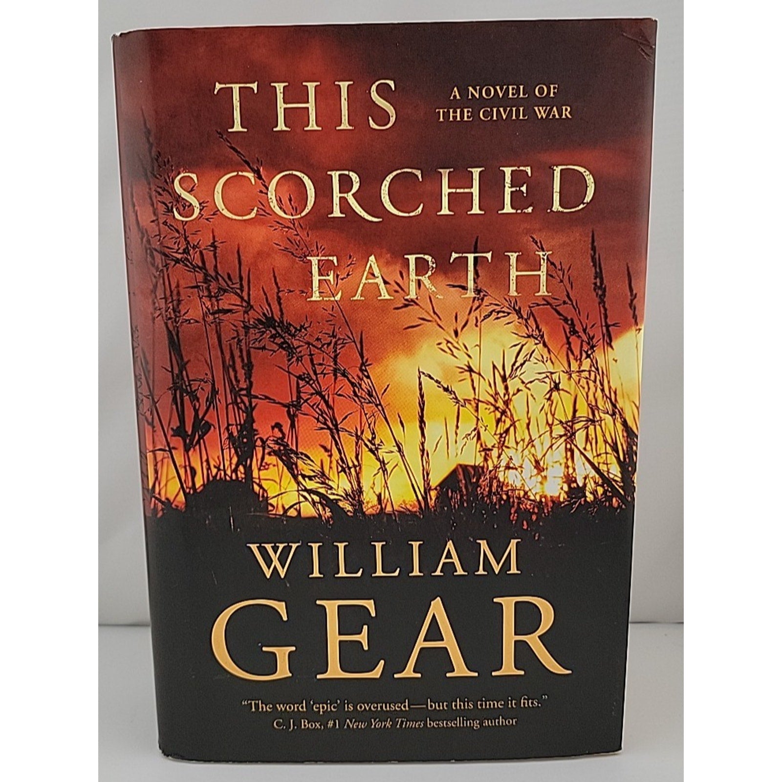 This Scorched Earth : A Novel of the Civil War and the American West by William