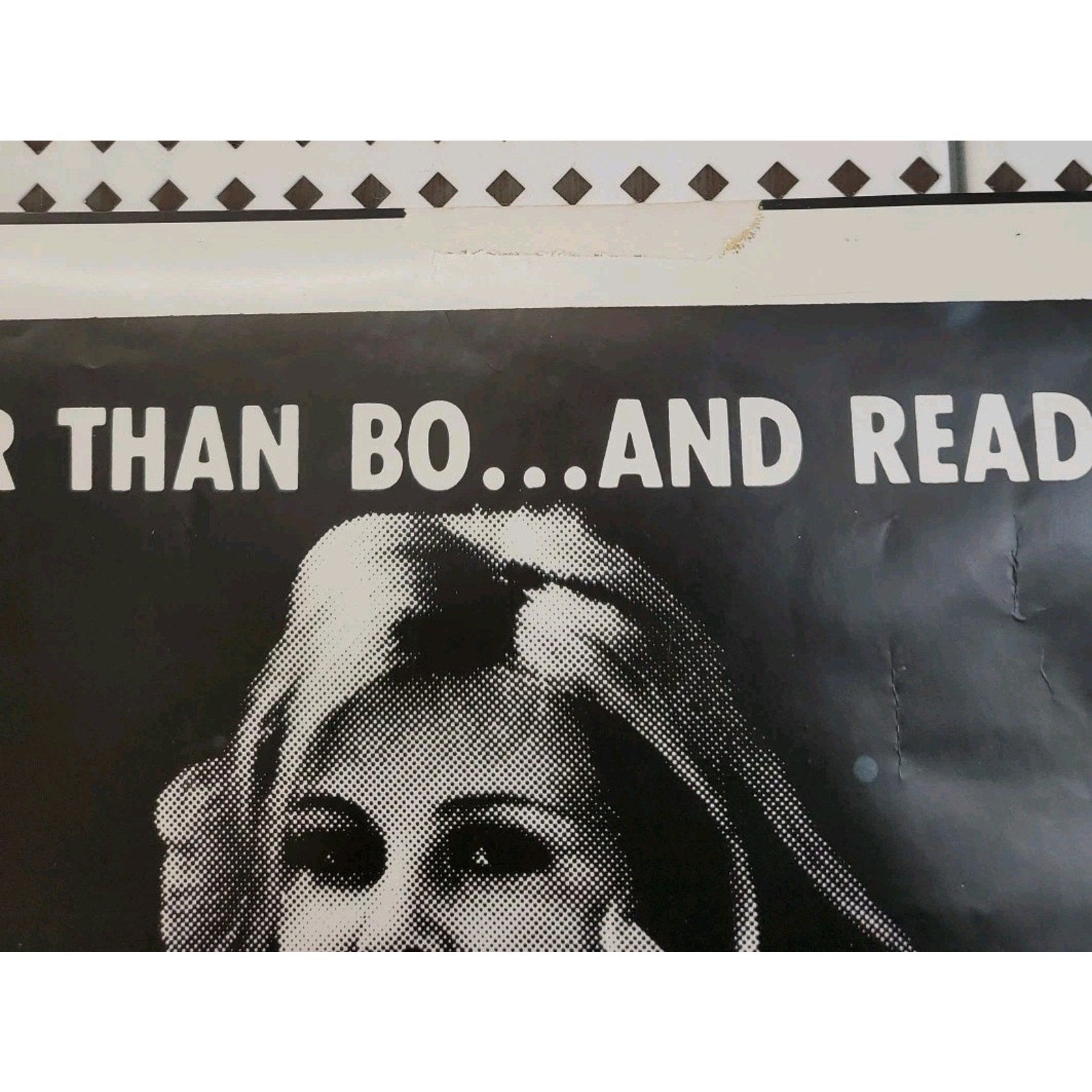 The 'Ten' Girla 1981 Movie Poster 18x58 Carol Jennings Janie Vixen