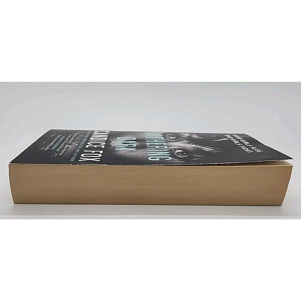 Gathering Dark by Candice Fox (2022, Mass Market)