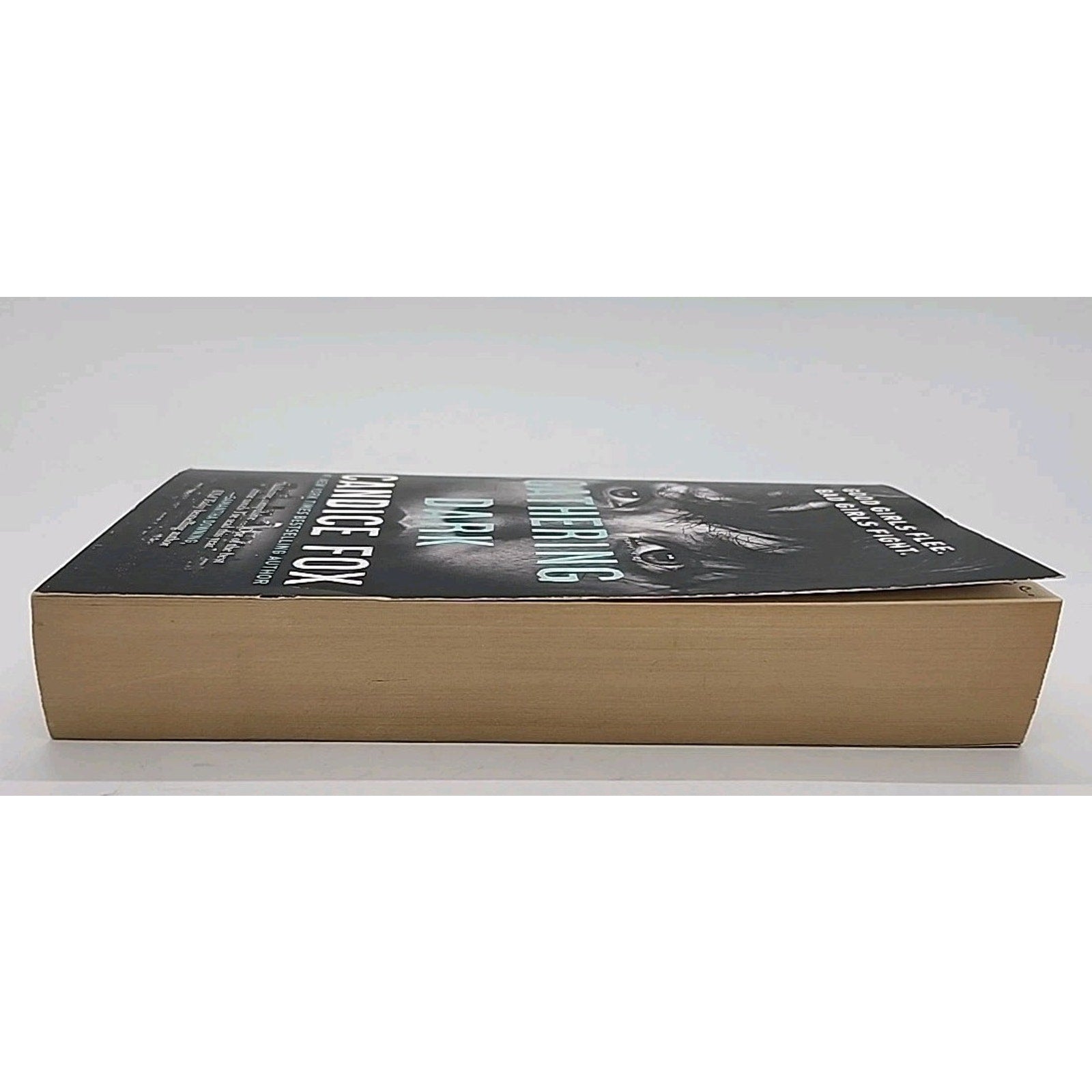 Gathering Dark by Candice Fox (2022, Mass Market)