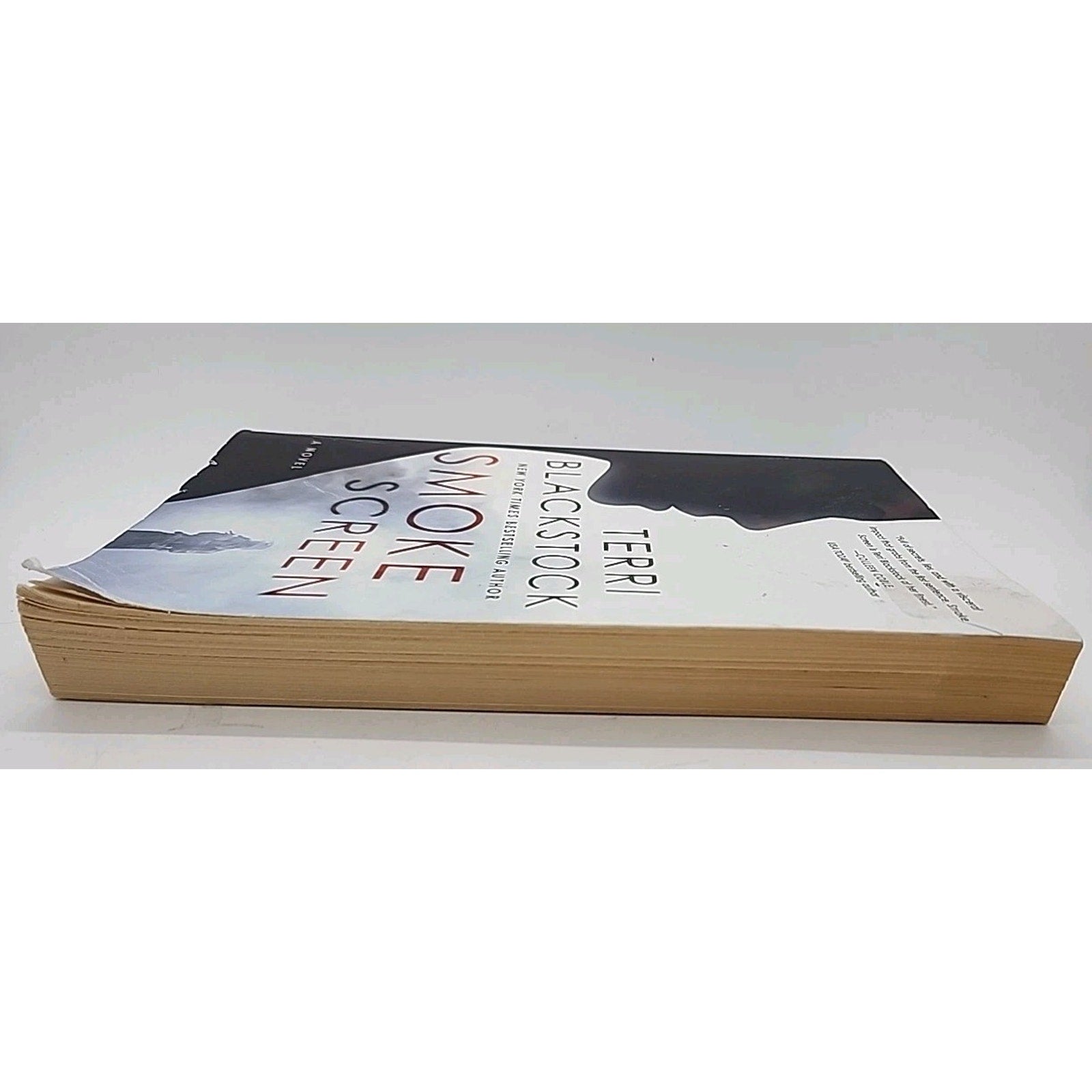 Smoke Screen by Terri Blackstock (2019, Trade Paperback)