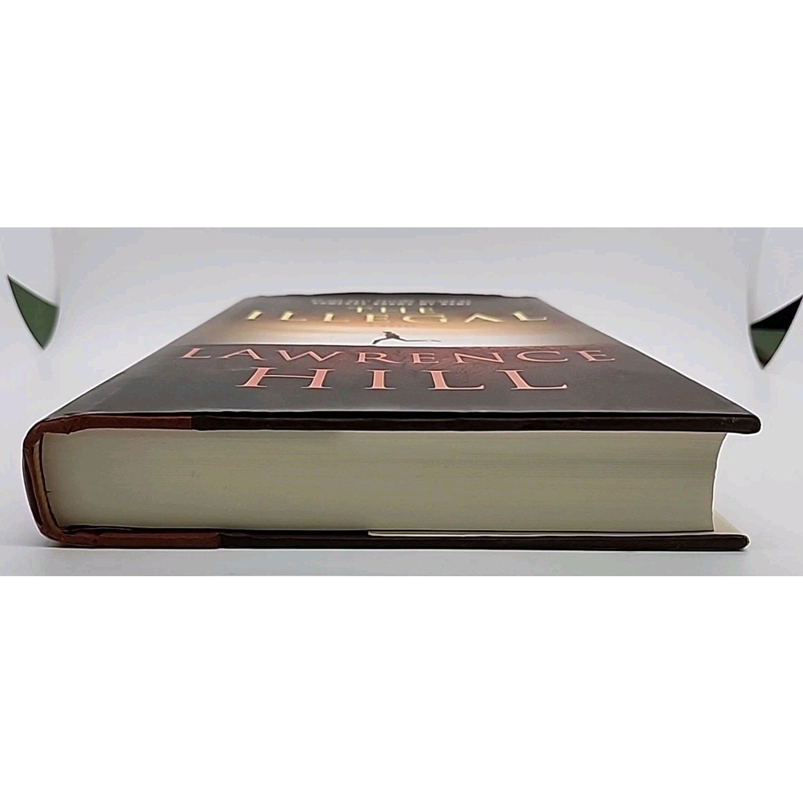 The Illegal: A Novel - Lawrence Hill (Hardcover)