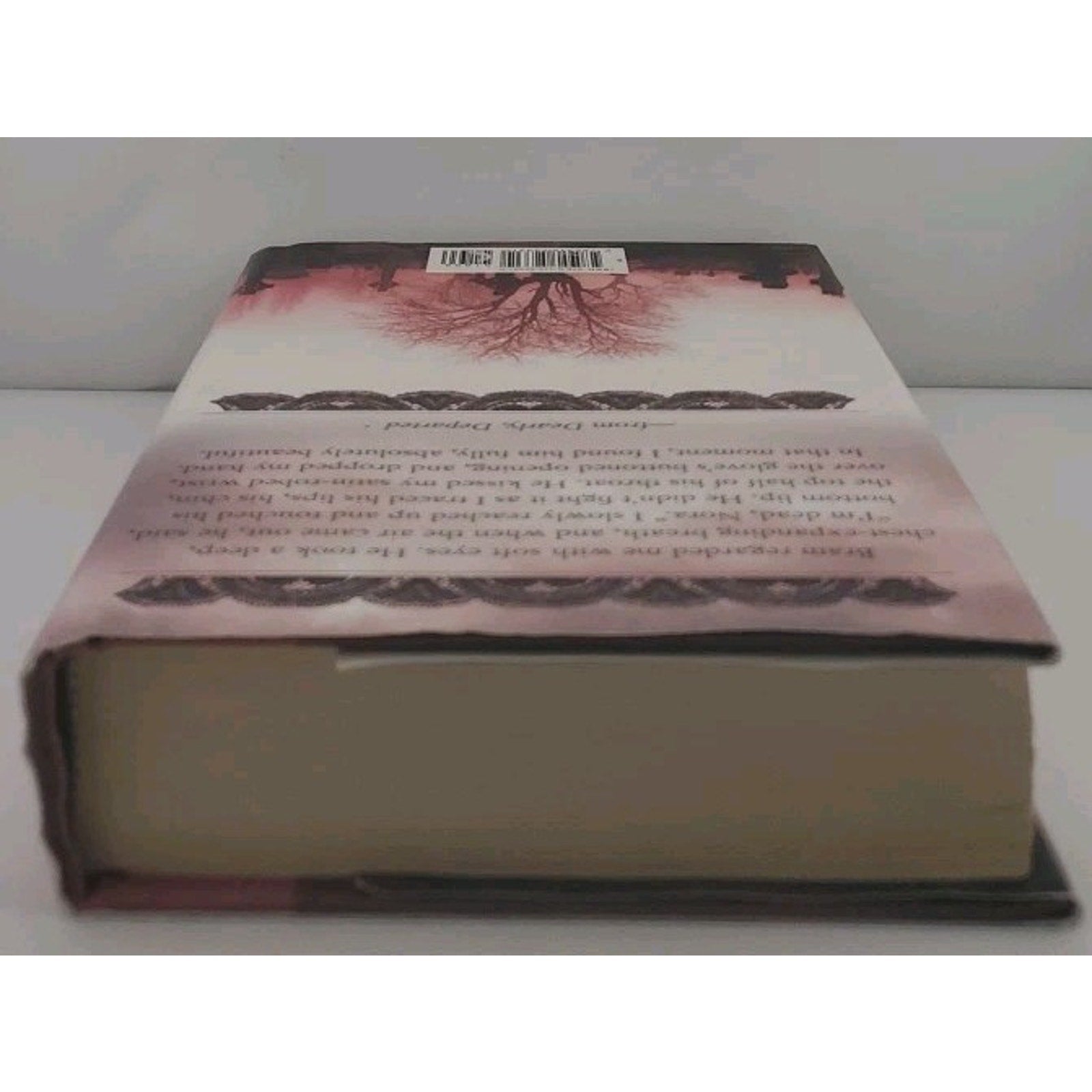 Dearly, Departed by Lia Habel (2011, Hardcover)