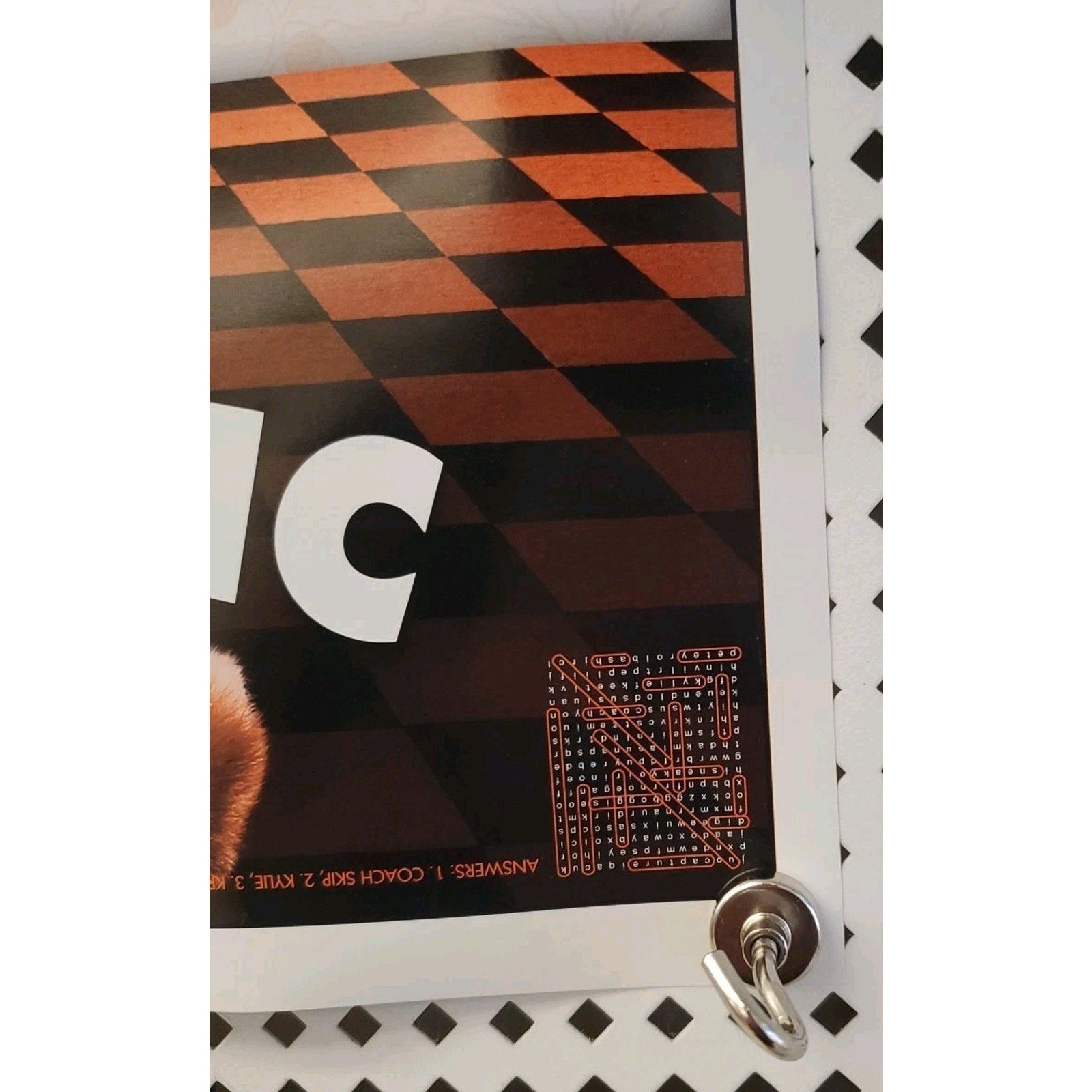 Fantastic Mr. Fox 14x20 Movie Poster