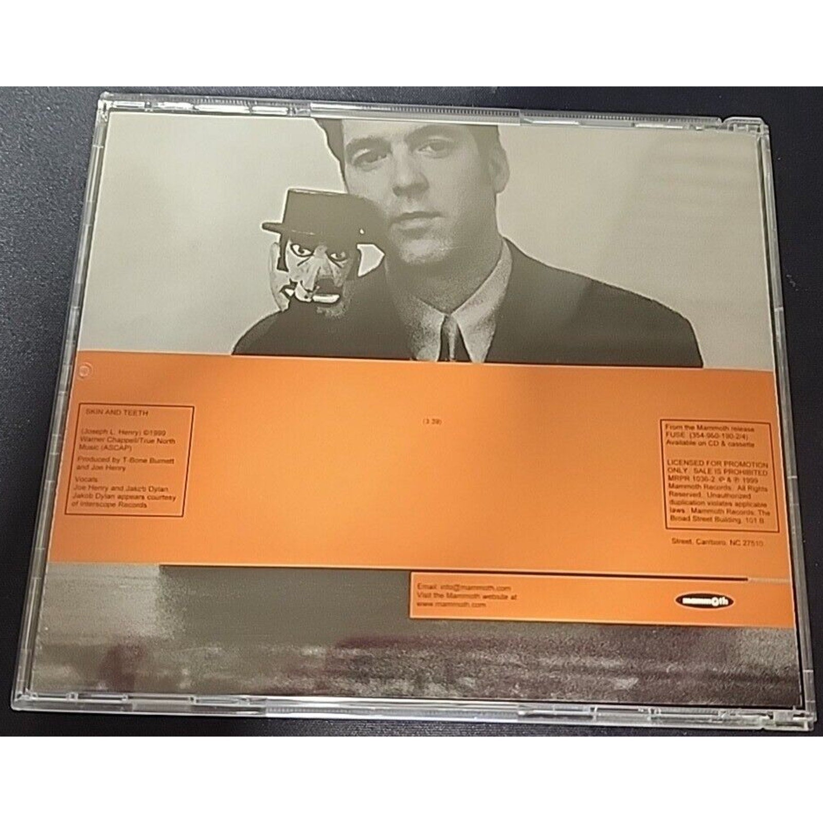 JOE HENRY w/ JAKOB DYLAN wallflowers Skin and teeth 1999 PROMO DJ (CD) Single