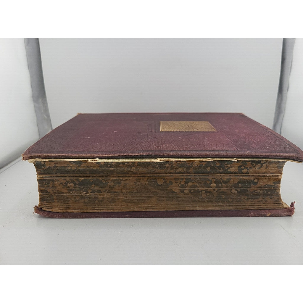 A Practical Book For Practical People 1895 Book