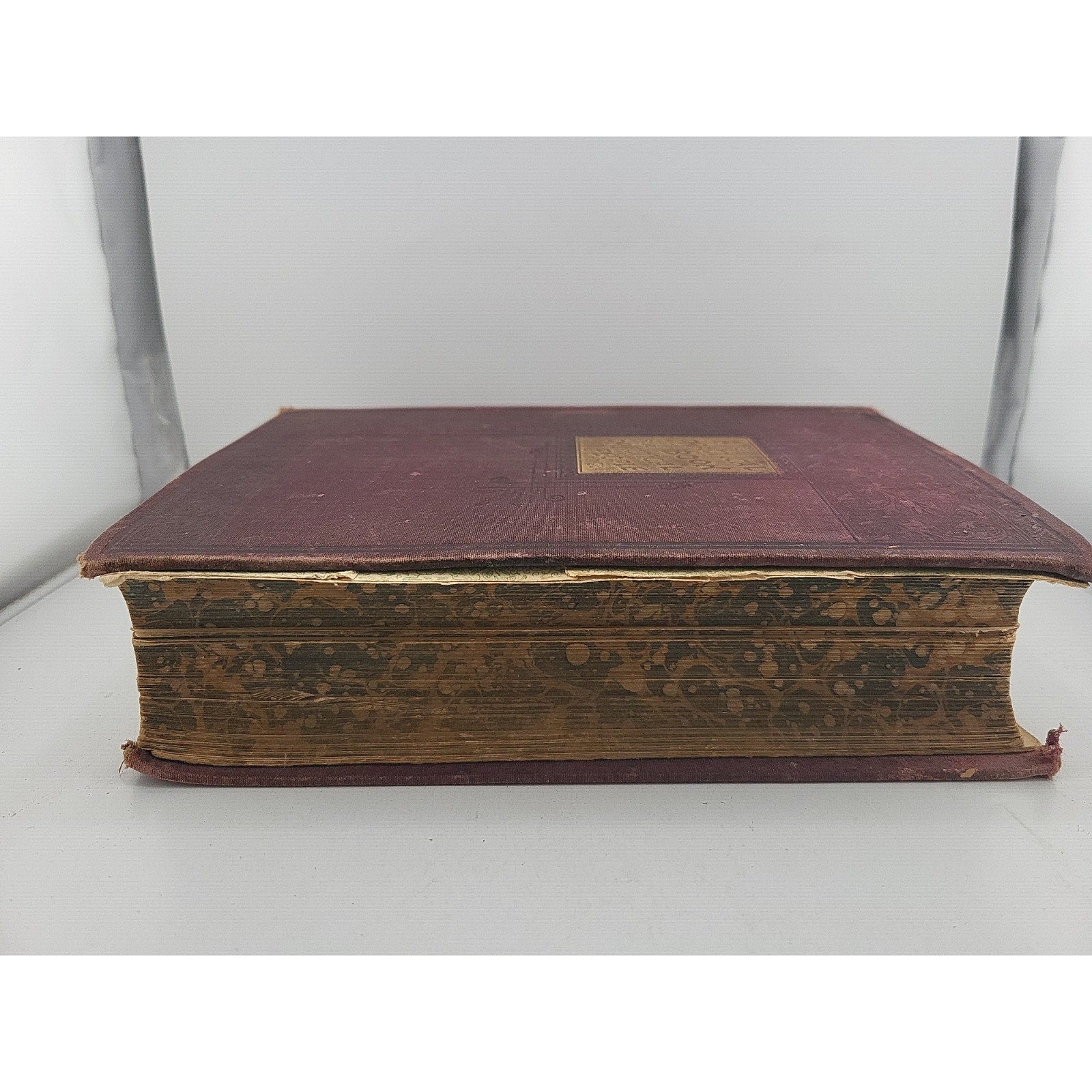 A Practical Book For Practical People 1895 Book