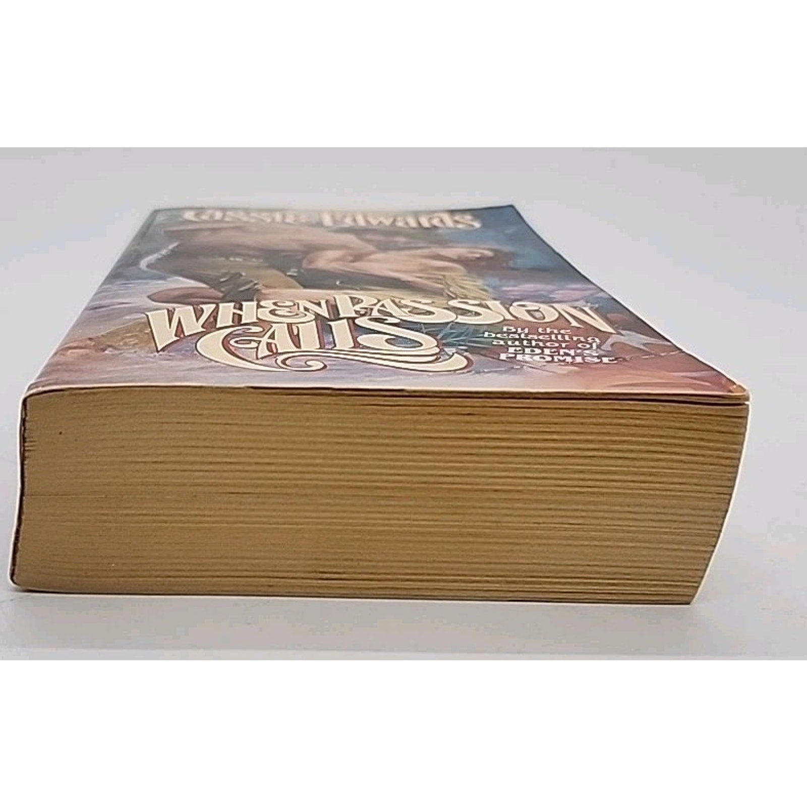 When Passion Calls by Cassie Edwards (2003, Trade Paperback)