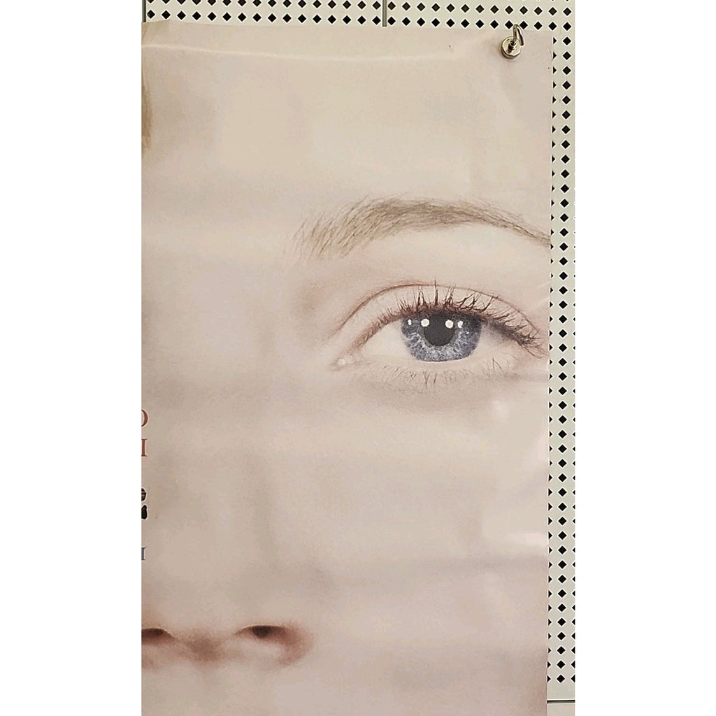 2003 Original Double Sided Sylvia Movie Poster 40” X 27” Sylvia Plath